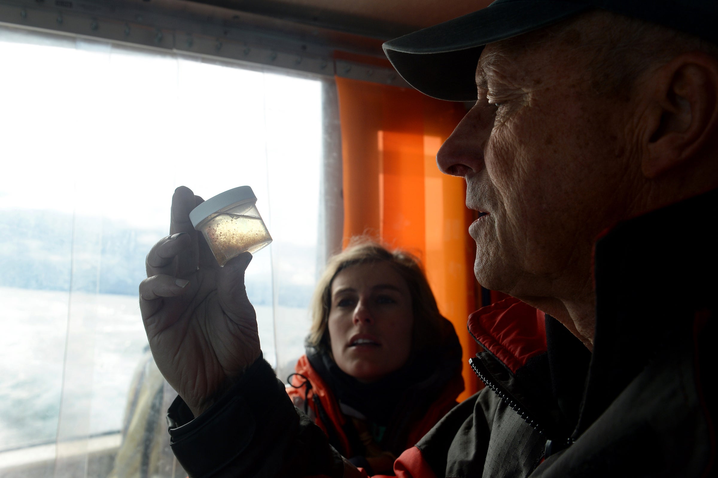 Lauren Goodwin, a biologist, and Charles ‘Stormy’ Mayo, look at ‘zoo’ plankton – a food source for the whales (Jamie Cotten/Washington Post)