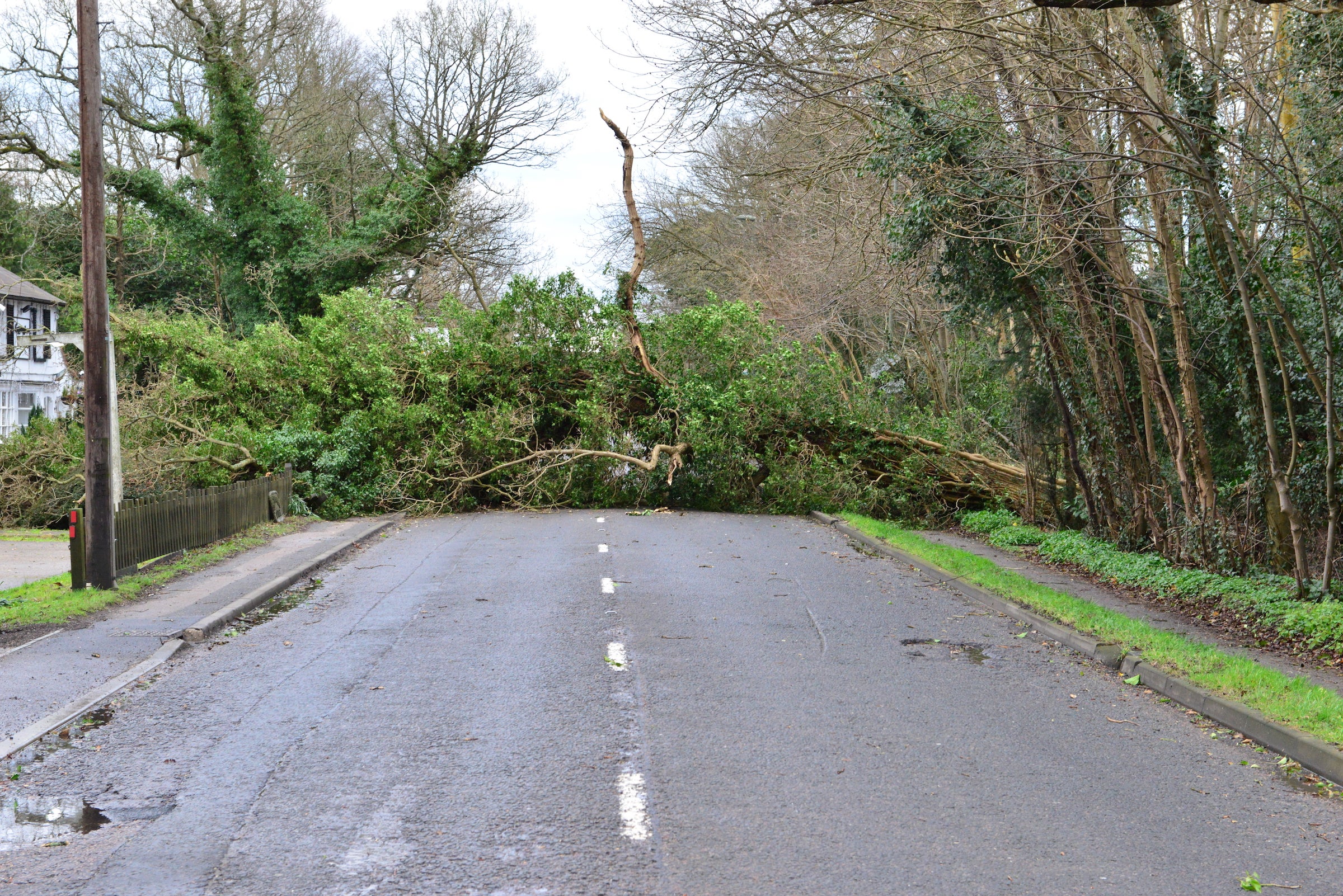 Trees down on the Balcombe road in Horley in 2016 on the morning after Storm Katie