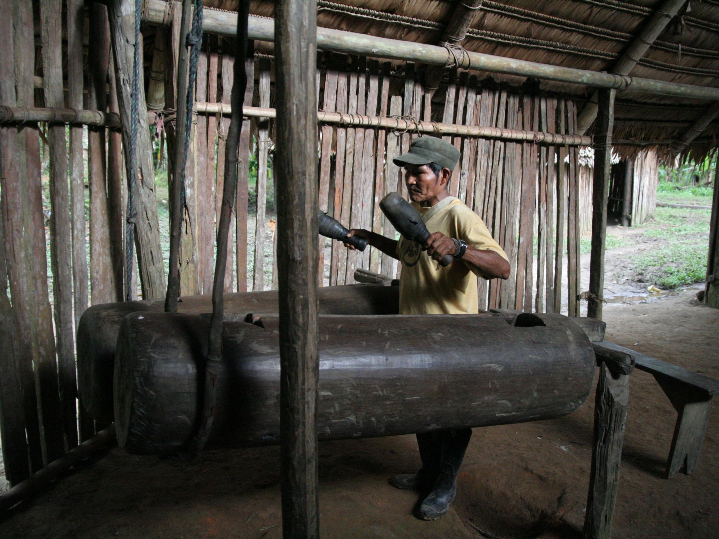 The Boras are an indigenous group occupying the Peruvian and Colombian Amazon, currently comprising only around 1,500 people