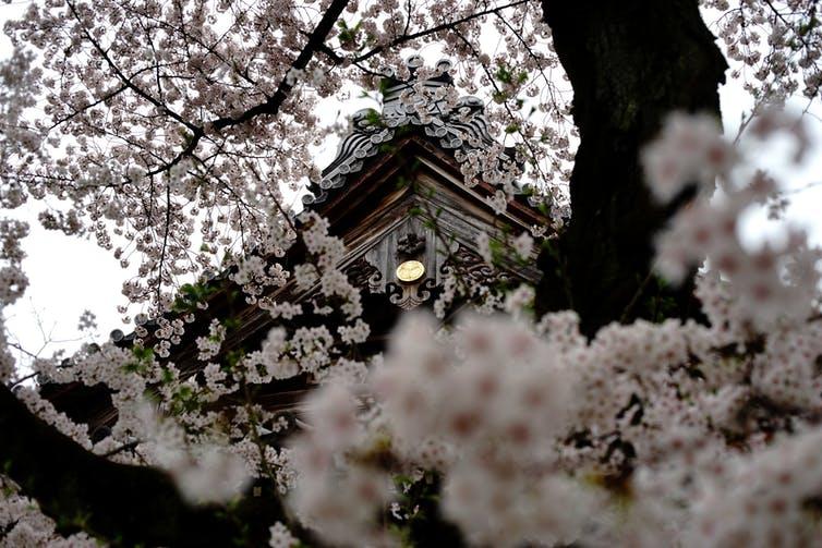 Immerse yourself in the Edo period, dating back to 1600, with a visit to one of the many temples or shrines