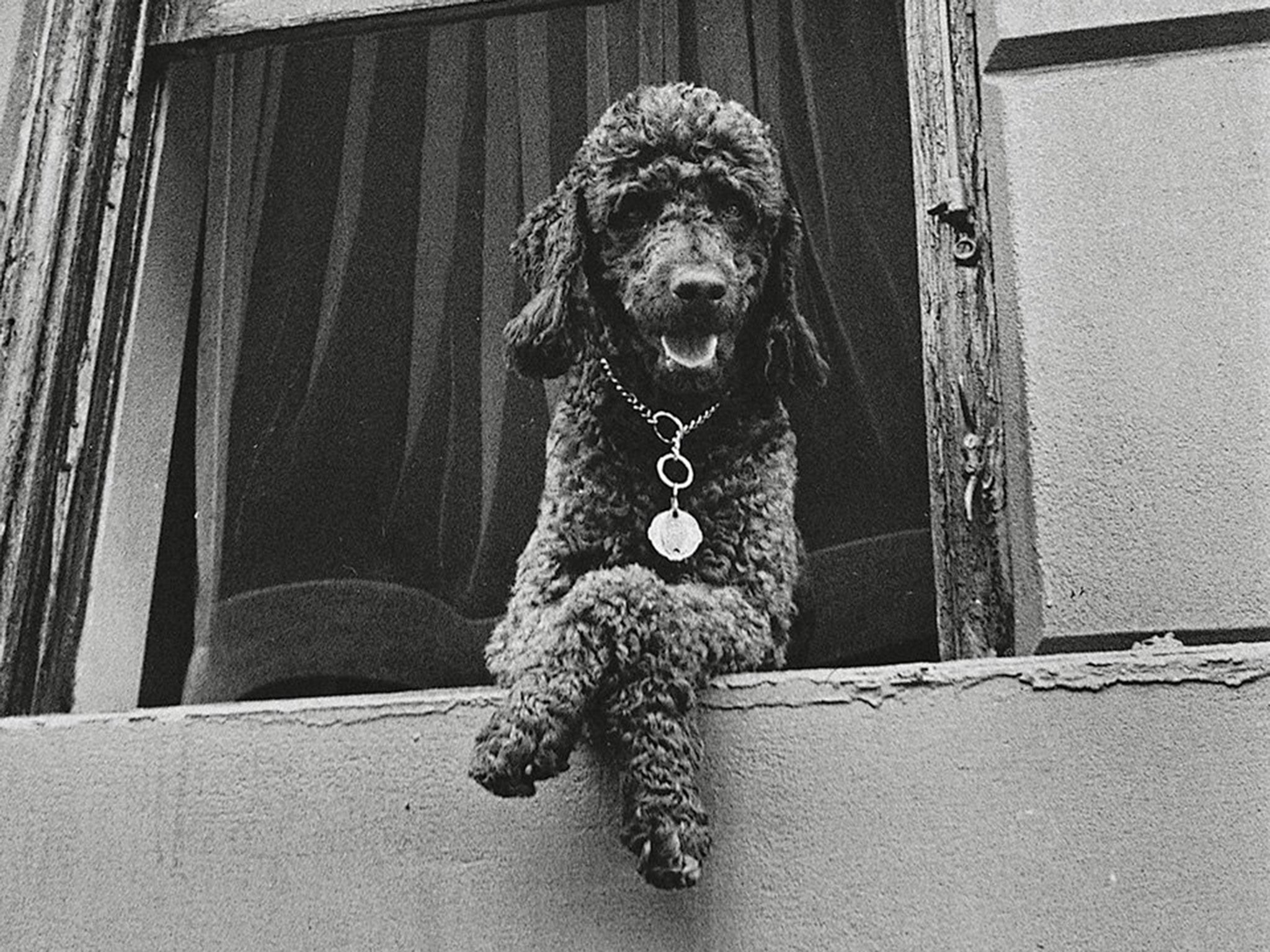 Todd Webb, 79th Street, New York, 1952