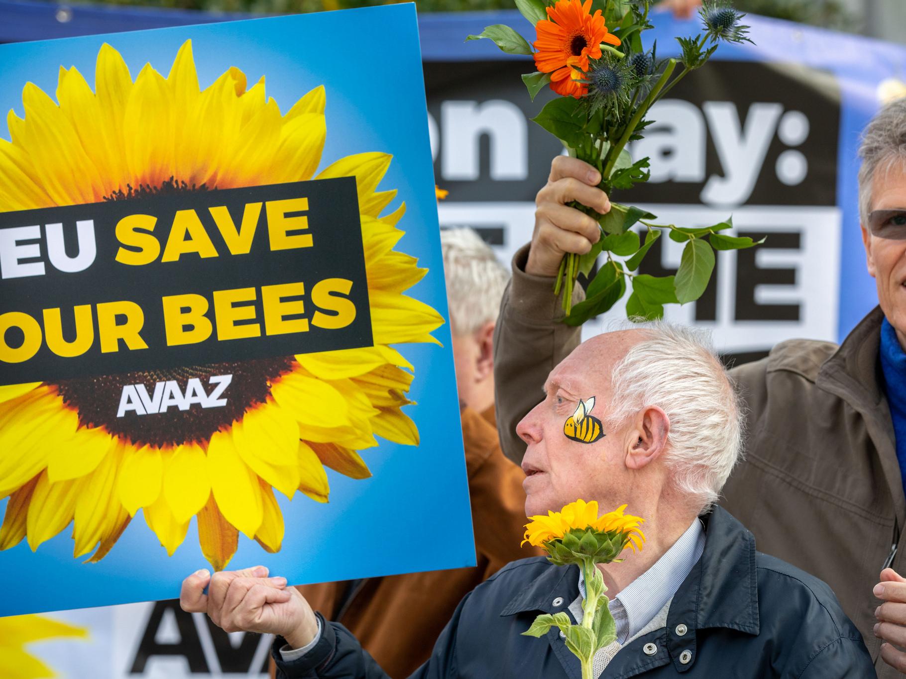 Campaigners gathered to call for EU member states to vote to ban harmful pesticides