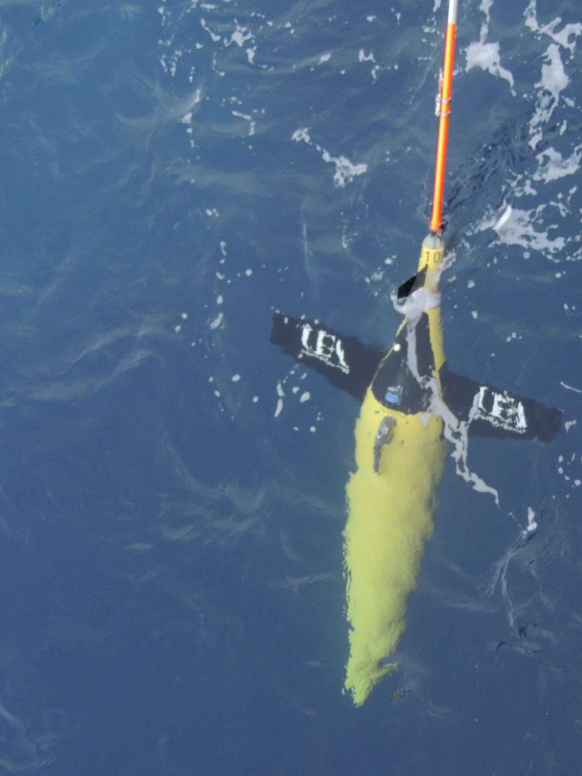 A Seaglider robot being deployed in the Arabian Sea