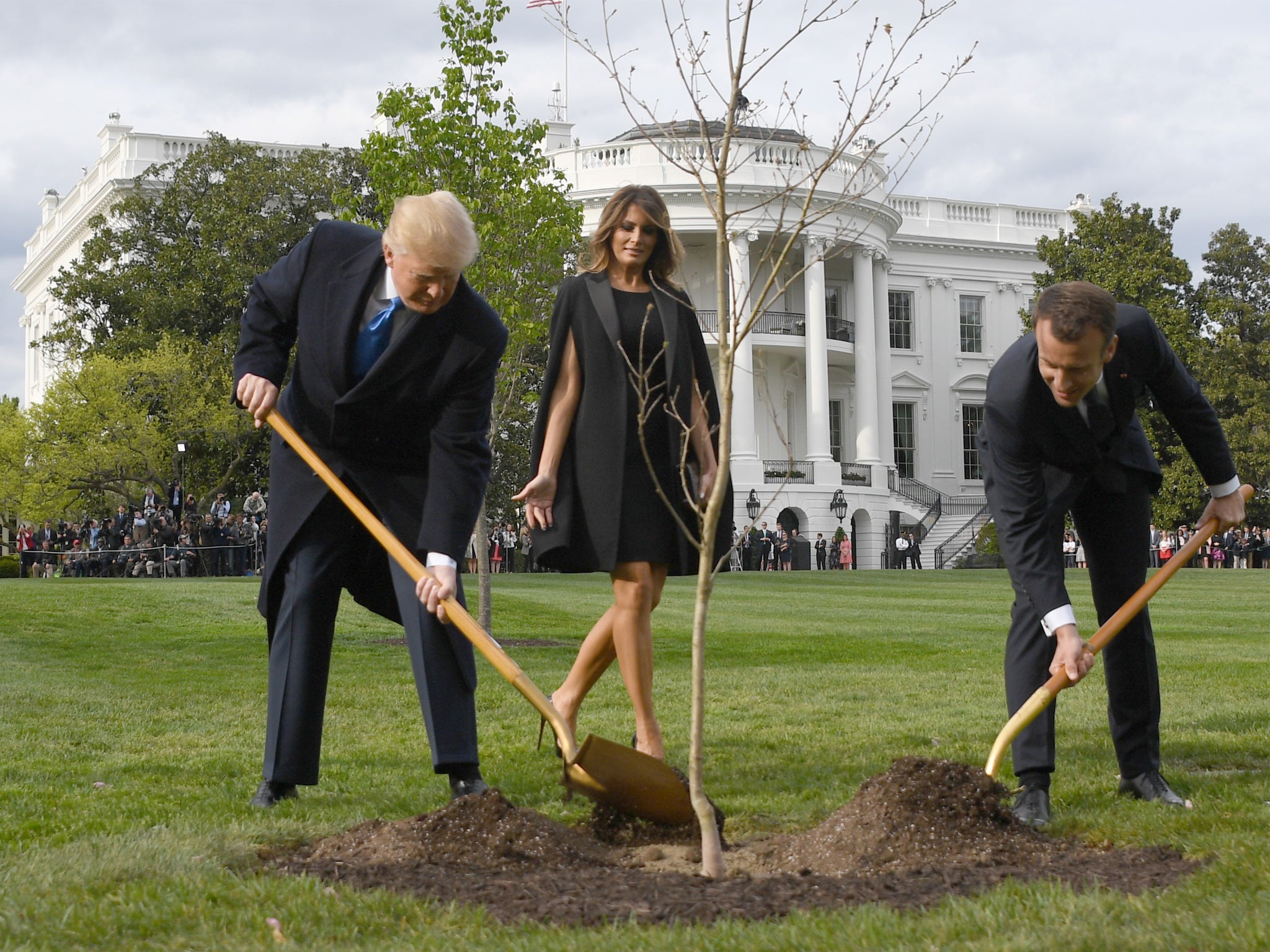 Donald Trump and Emmanuel Macron plant an oak tree watched by the US first lady, Melania Trump (Jim Watson/AFP/Getty)