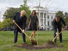 Trump and Macron’s friendship tree dies