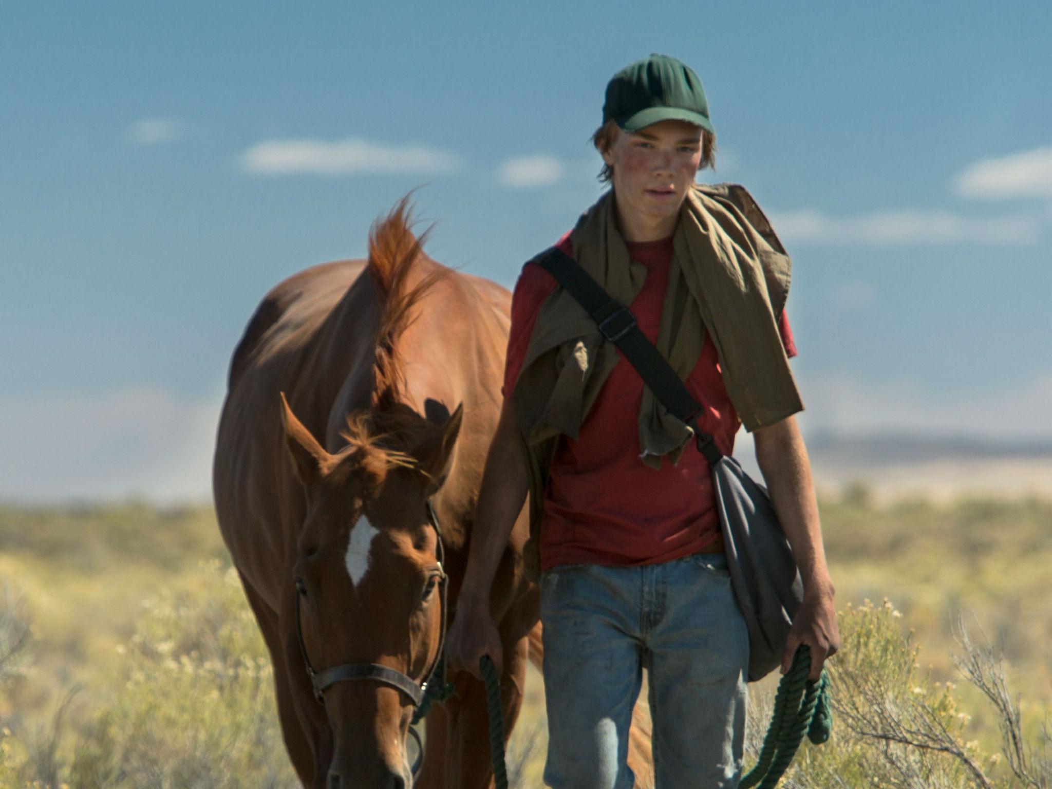 Thoroughbred: Young lead Charlie Plummer has a soulfulness on camera which belies his young age