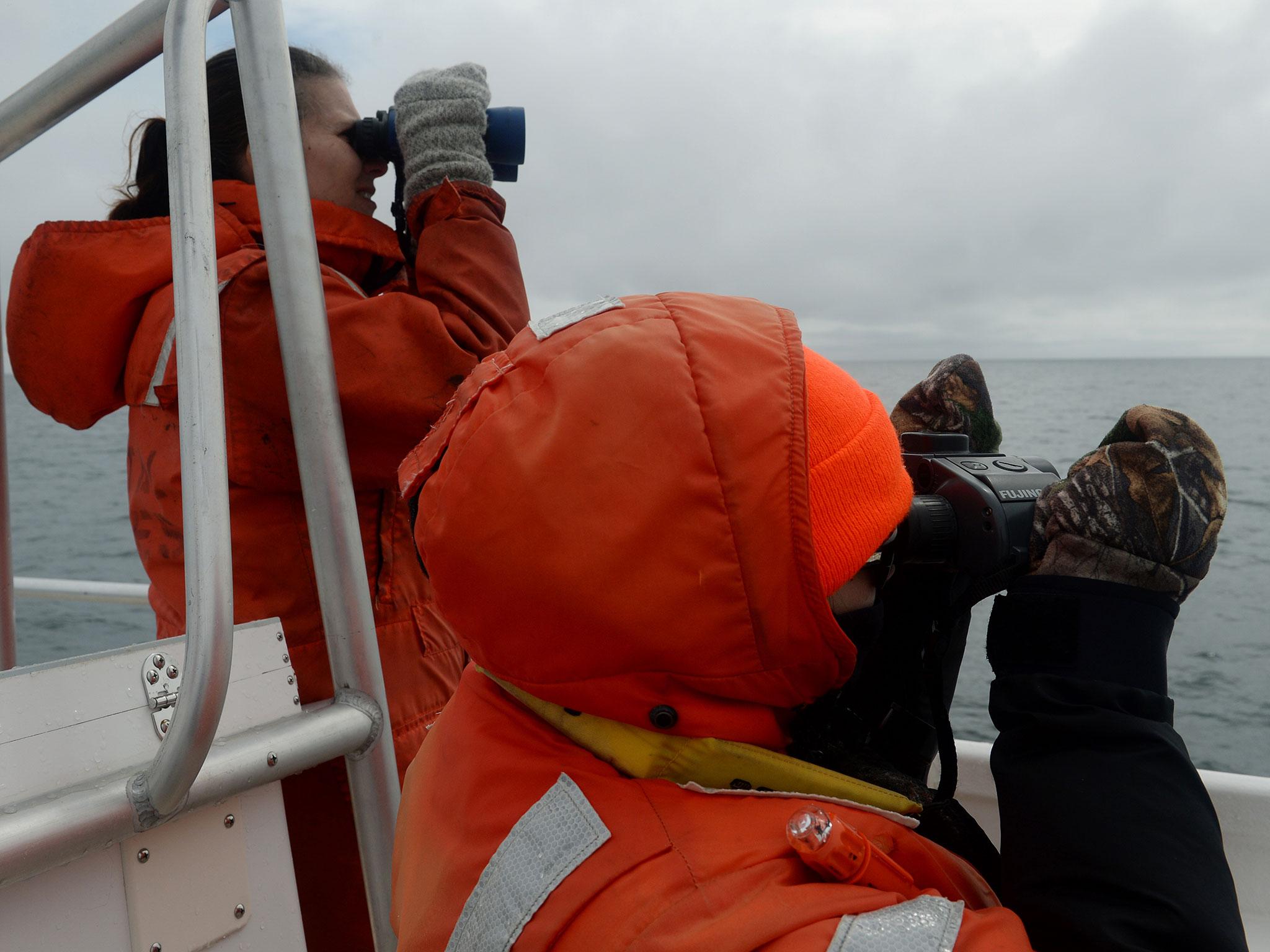 Researchers scan for a whale spout or tail in the waters off Provincetown, Massachusetts (Jamie Cotton/Washington Post)