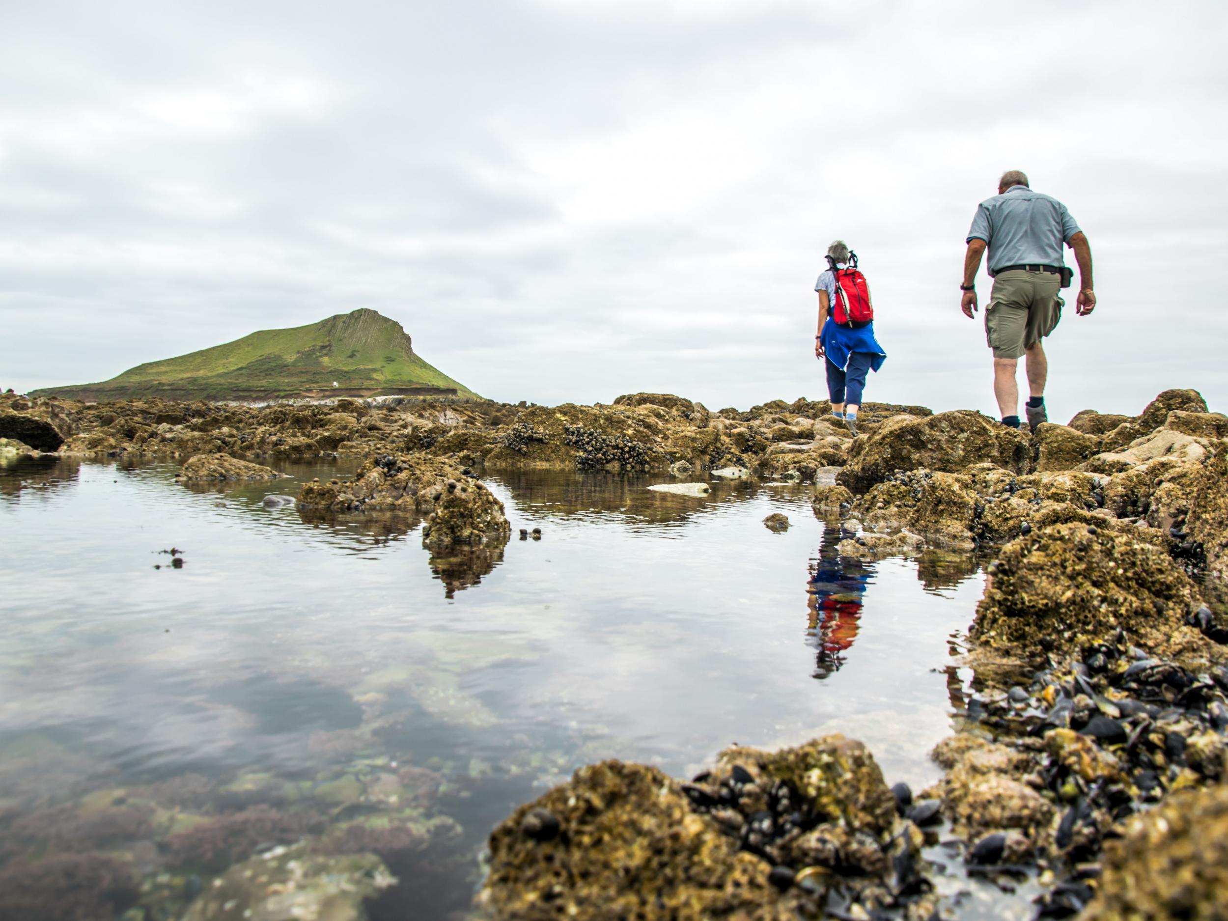 The charity owns and protects much of the land on the Gower Peninsula, including Worm’s Head