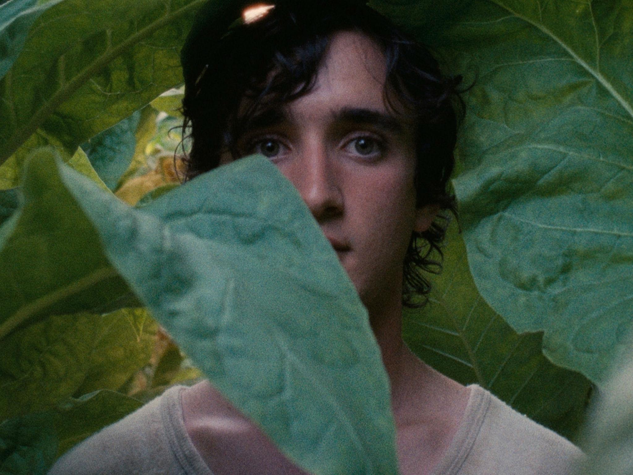 Adriano Tardiolo in Alice Rohrwacher’s ‘Happy as Lazzaro’