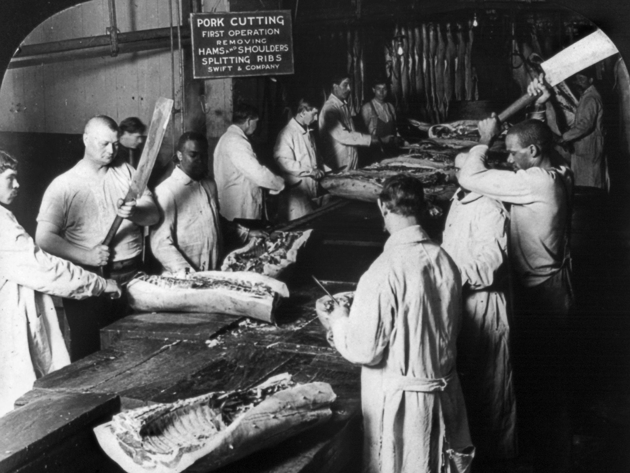 Workers cutting up hogs by hand at the Swift and Company meatpacking house in Chicago