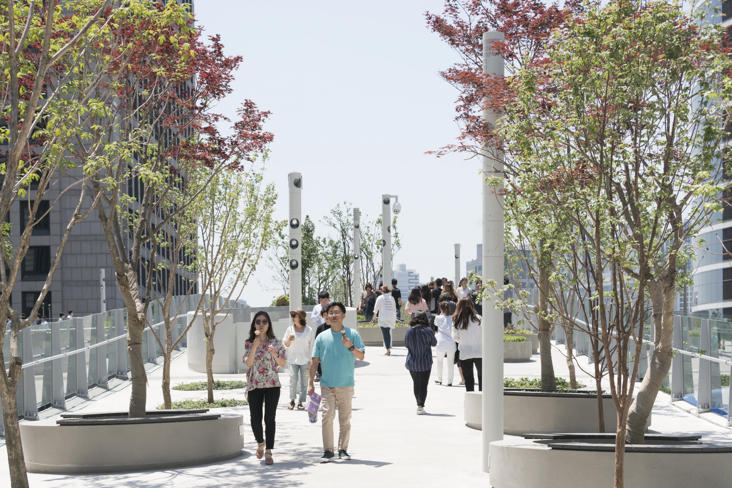 The Skygarden has 24,000 flowers, shrubs and trees