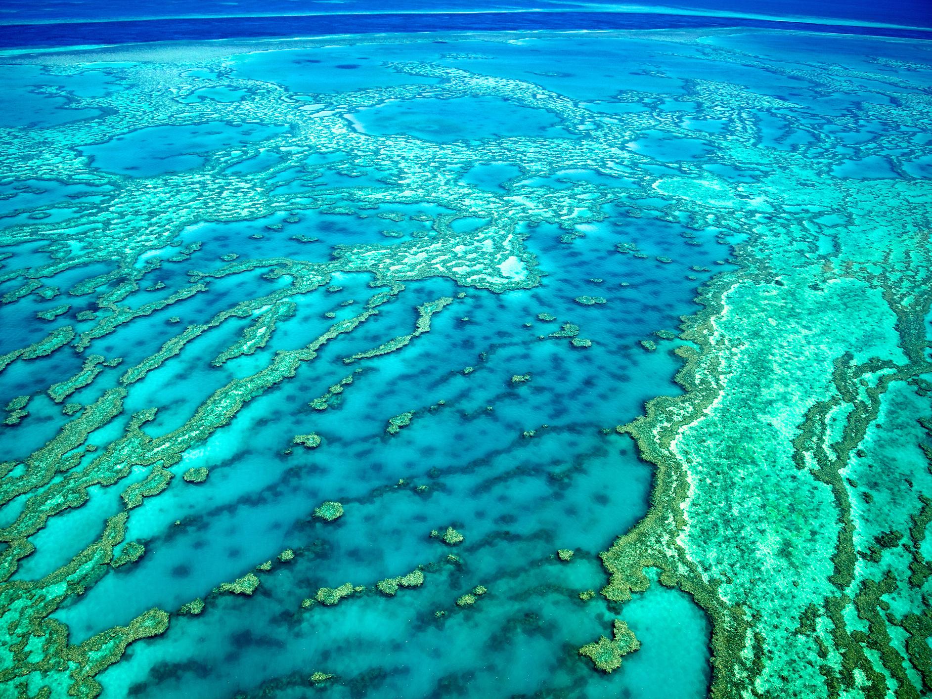 The Great Barrier Reef in Australia is the largest coral reef eco system in the world. This aerial photo was taken over Hardy Reef, in the Whitsundays Australia.