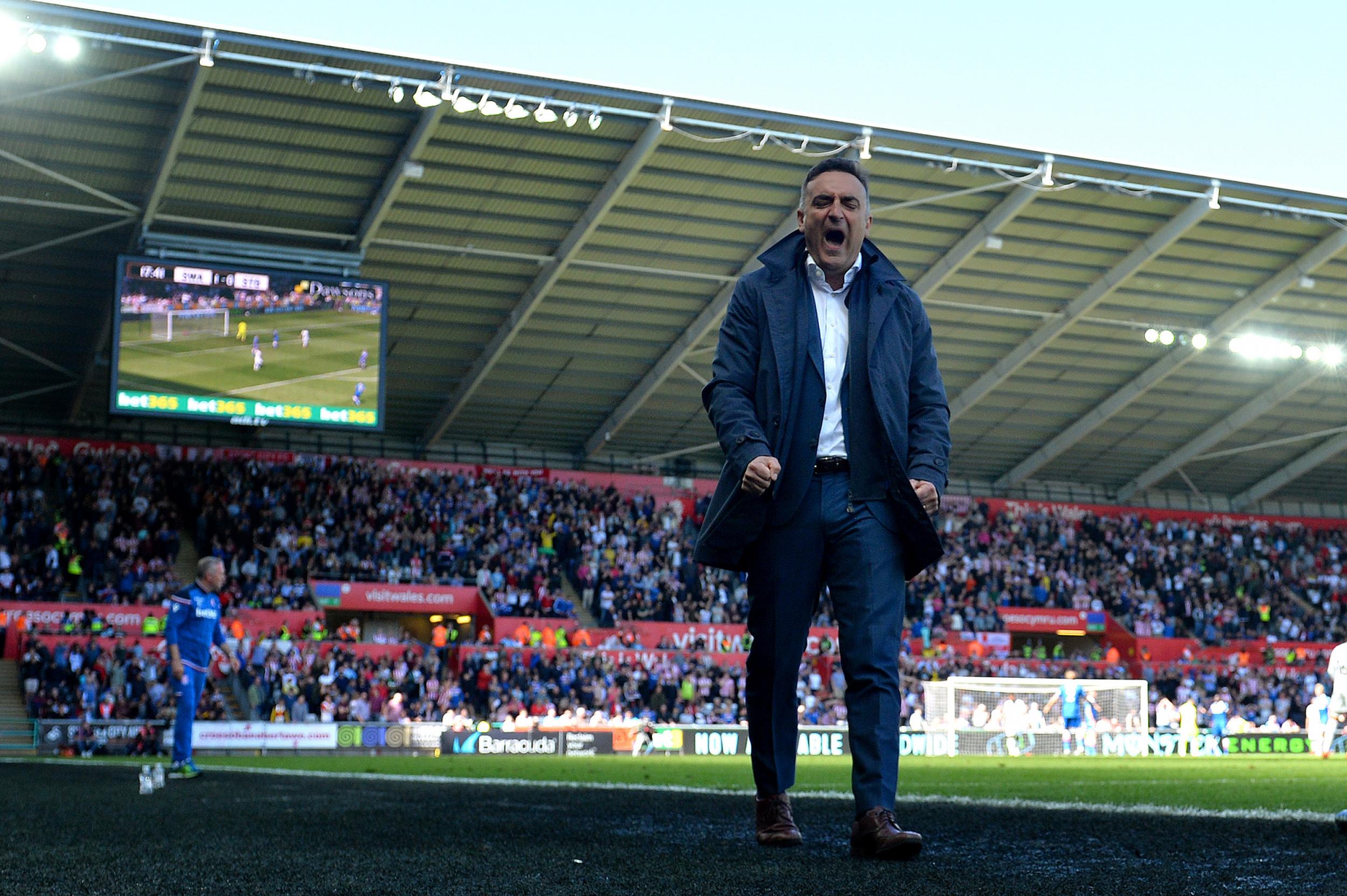 Carlos Carvalhal shows his frustration during the defeat by Stoke