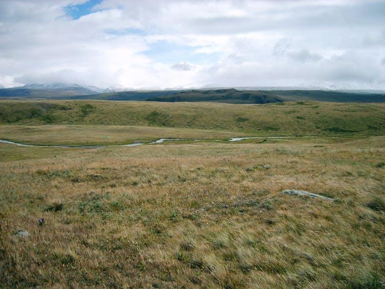 Ukok Plateau, Siberia, is one of the last remnants of the mammoth steppe