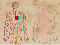 Schizophrenia affects your body, not just your brain – new study