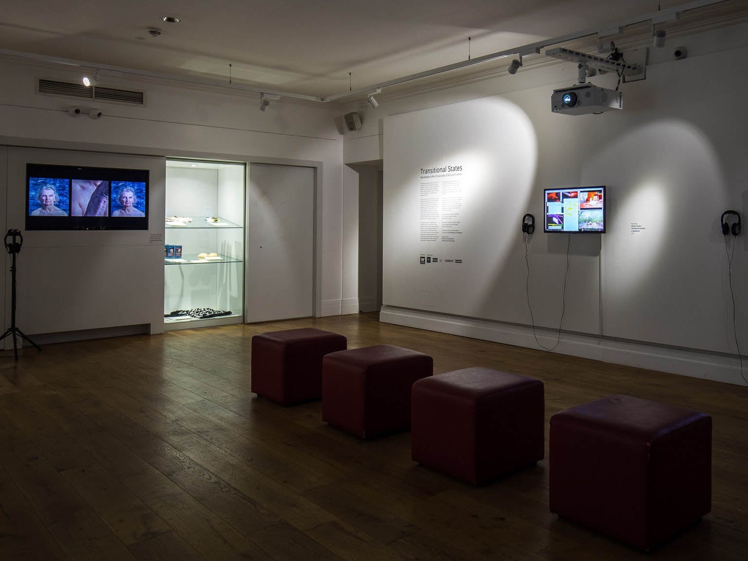 The Transitional States exhibition is open in London for a month