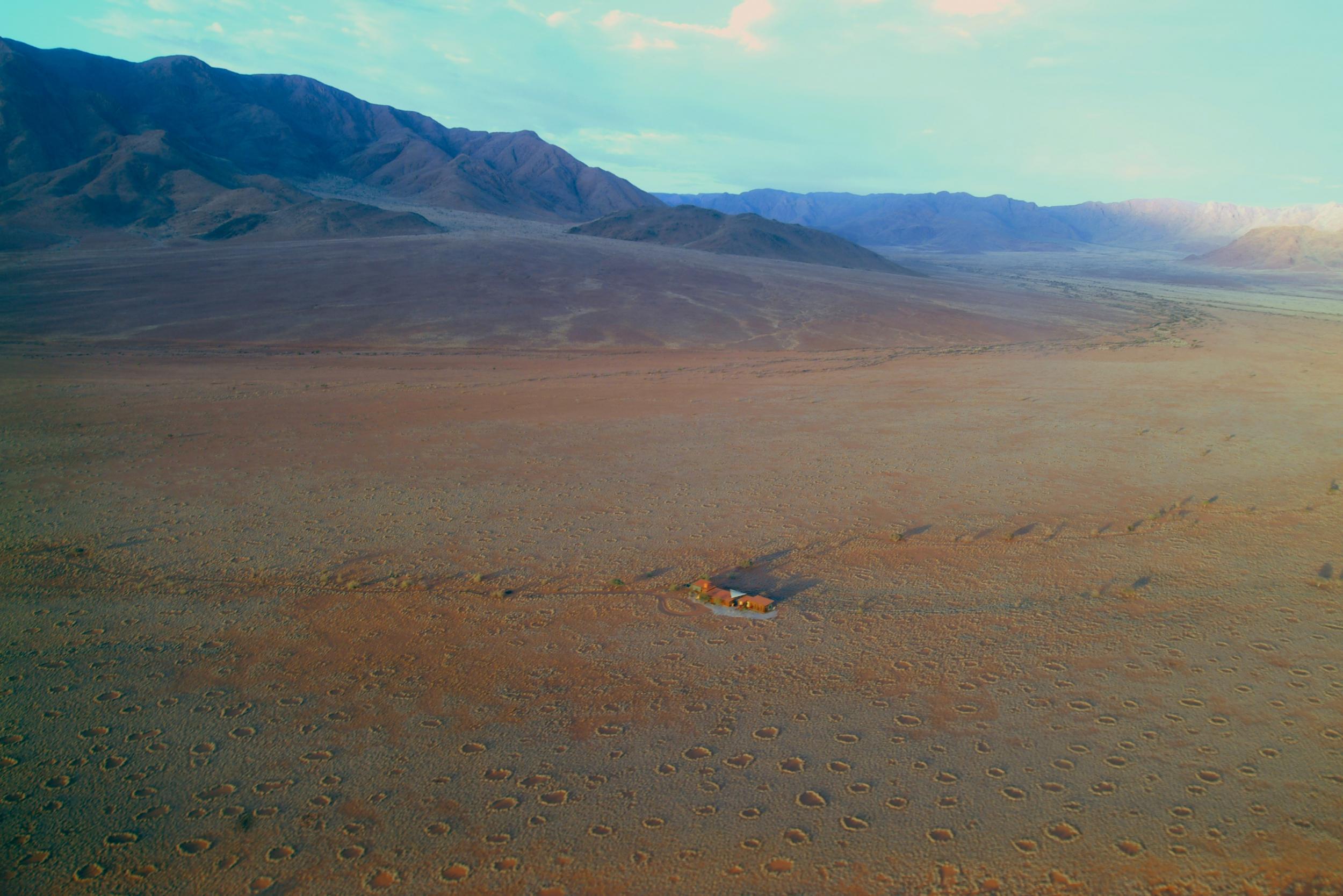 Magical mystery tour: fairy circles in the sand have baffled scientists