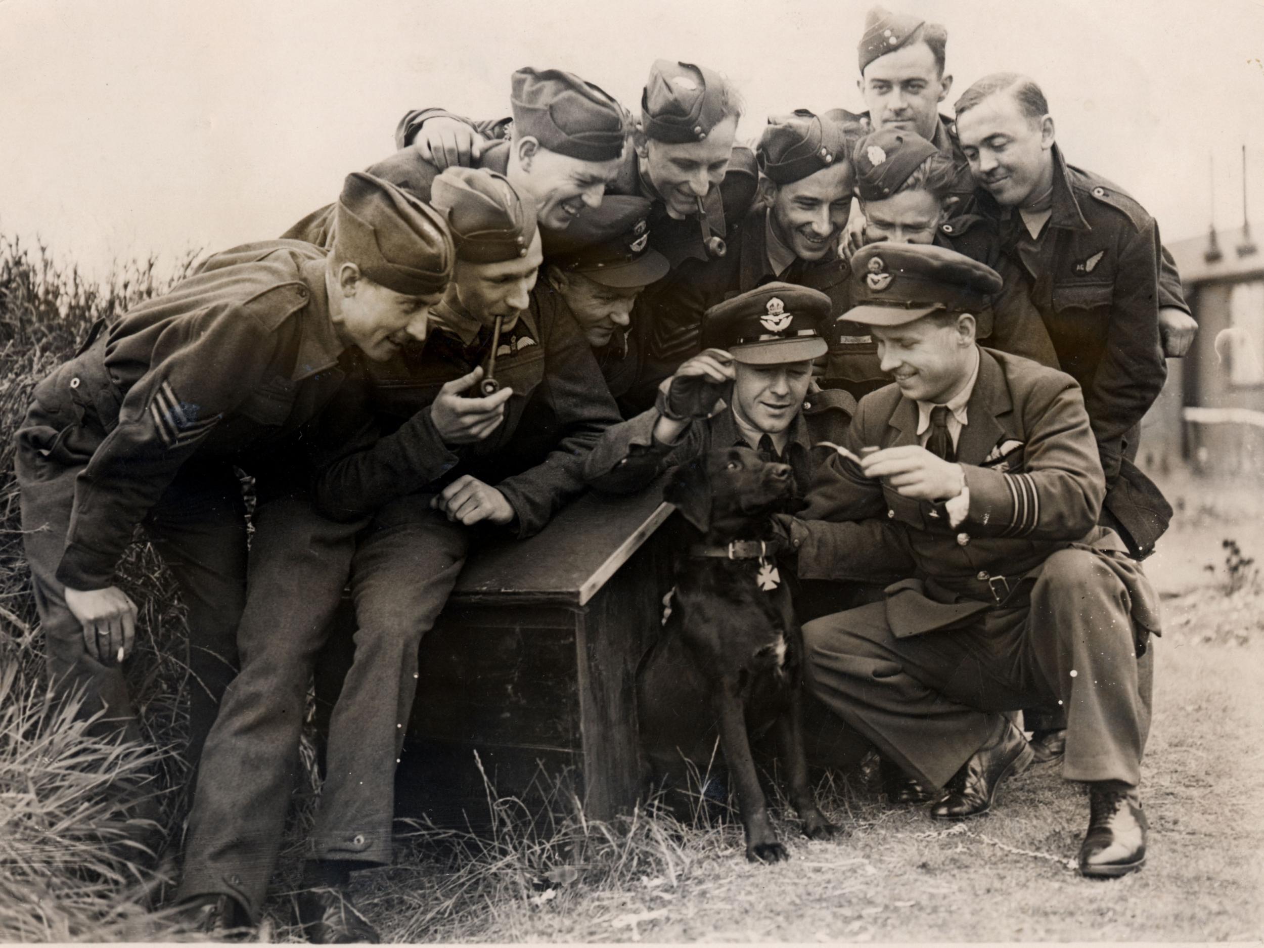 The dog's headstone will be stored in a safe location, the RAF said