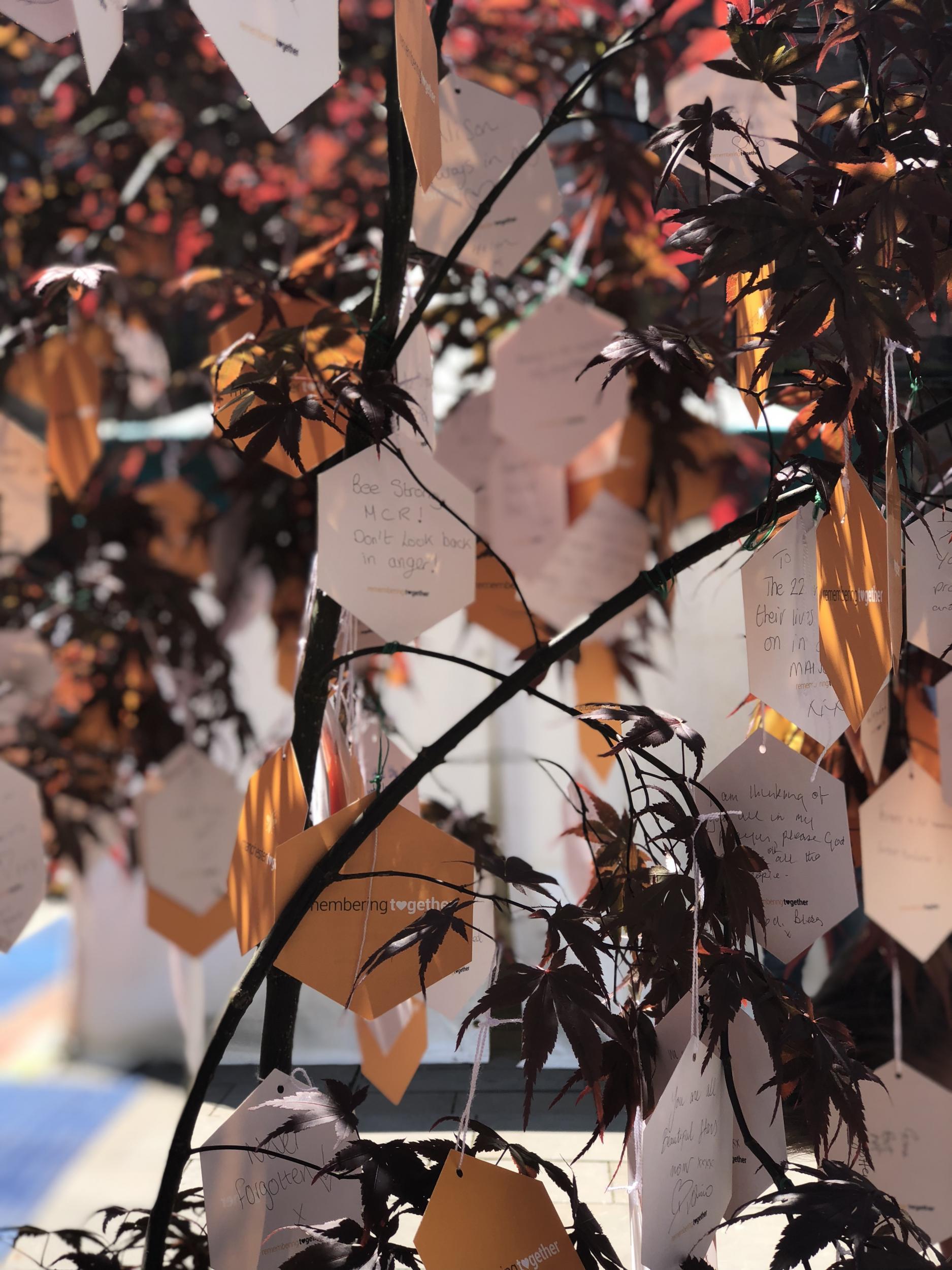 The Trees of Hope trail in St Ann's Square where people are encouraged to leave and share tributes