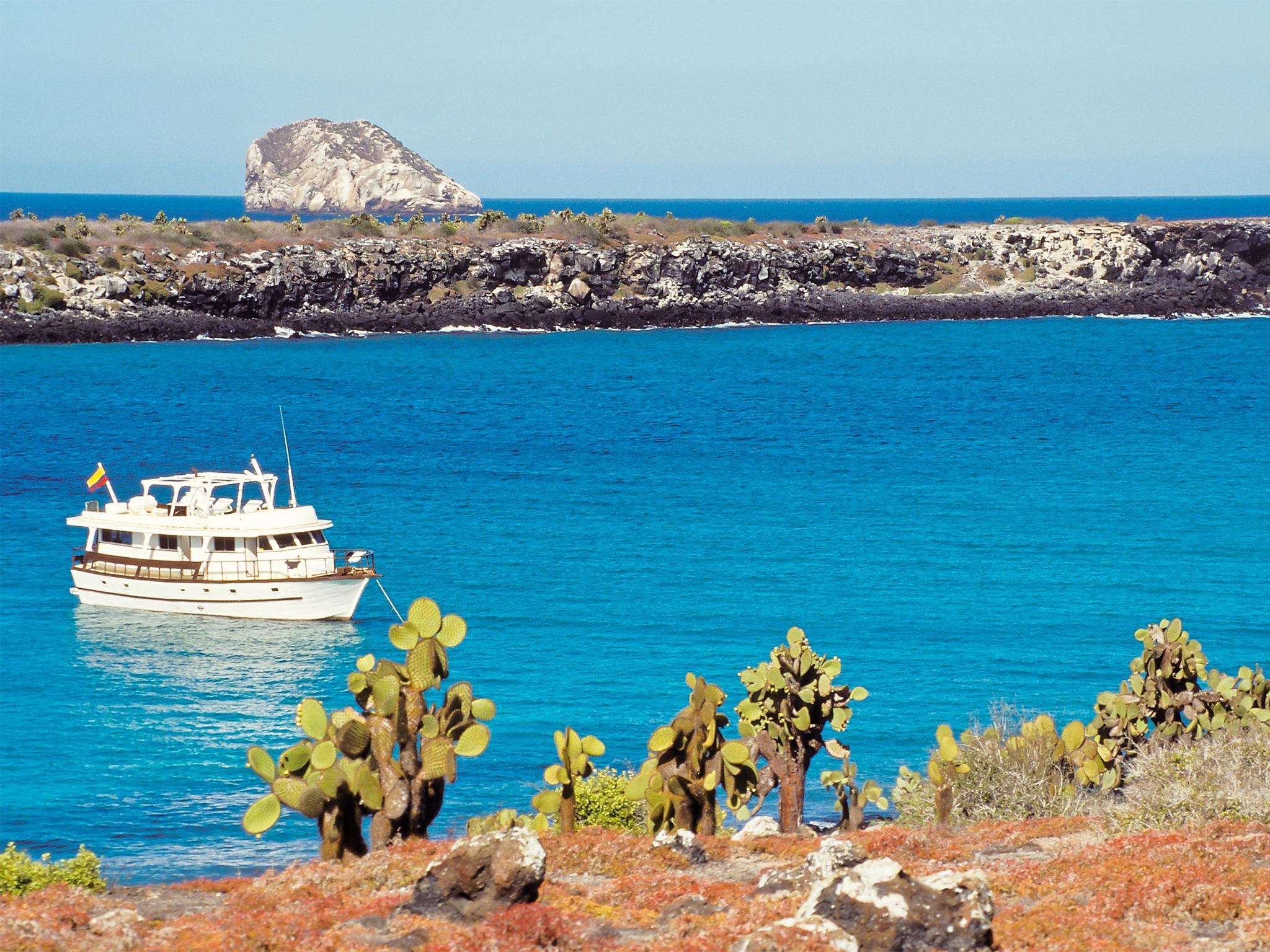 Tourism in the Galapagos Islands is up by a third since 2003 (Getty/iStockphoto)