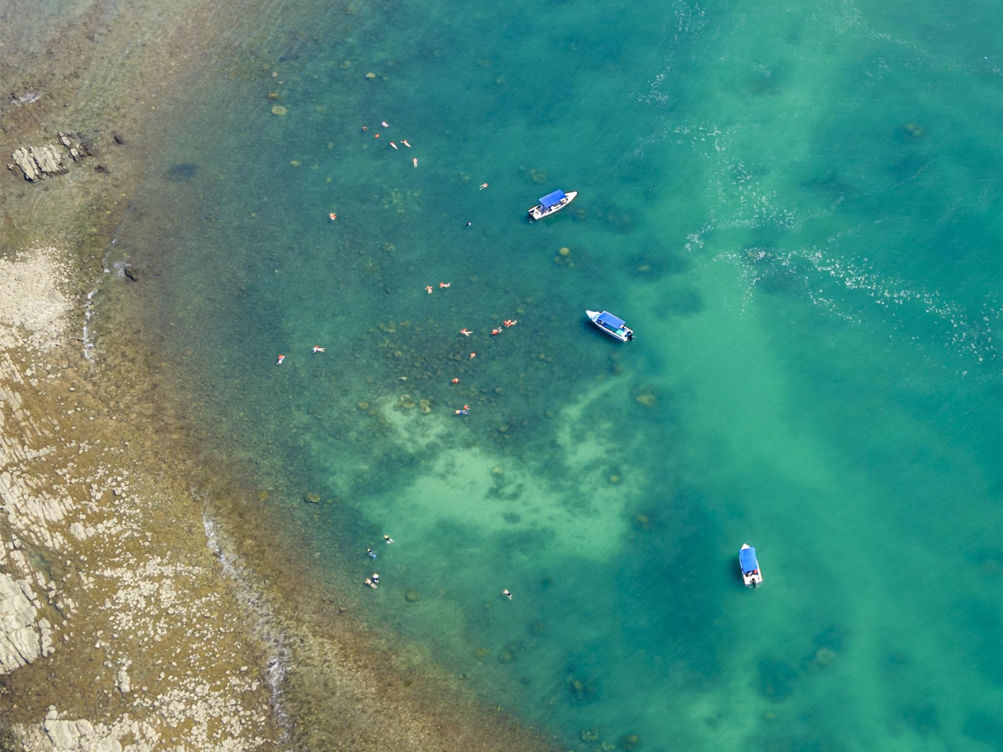 The Great Barrier Reef is thought to have lost over half its coral since 1985 (Getty)