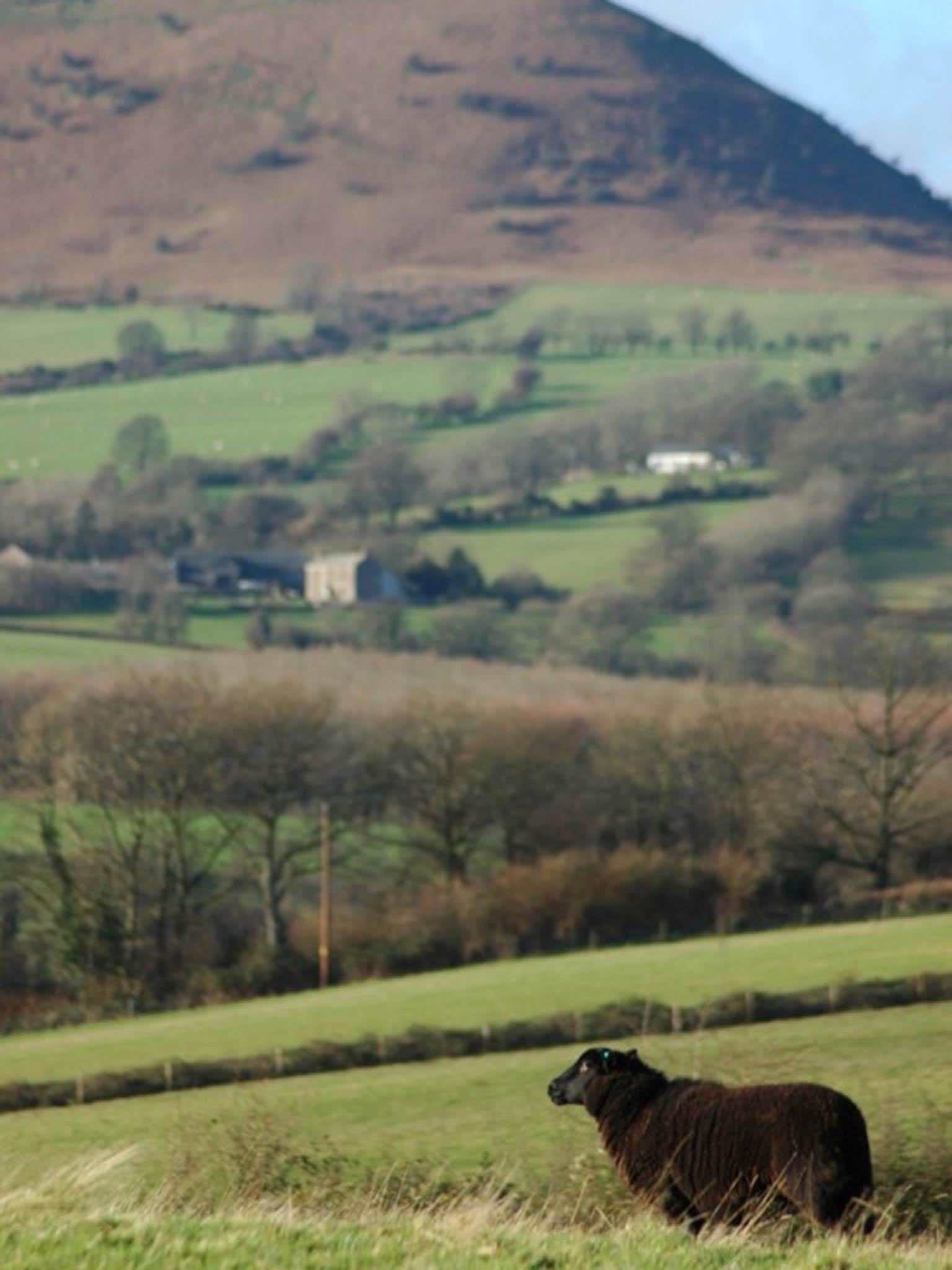 The farm’s boundaries date back to the 16th century, so the couple couldn’t bear to break it up