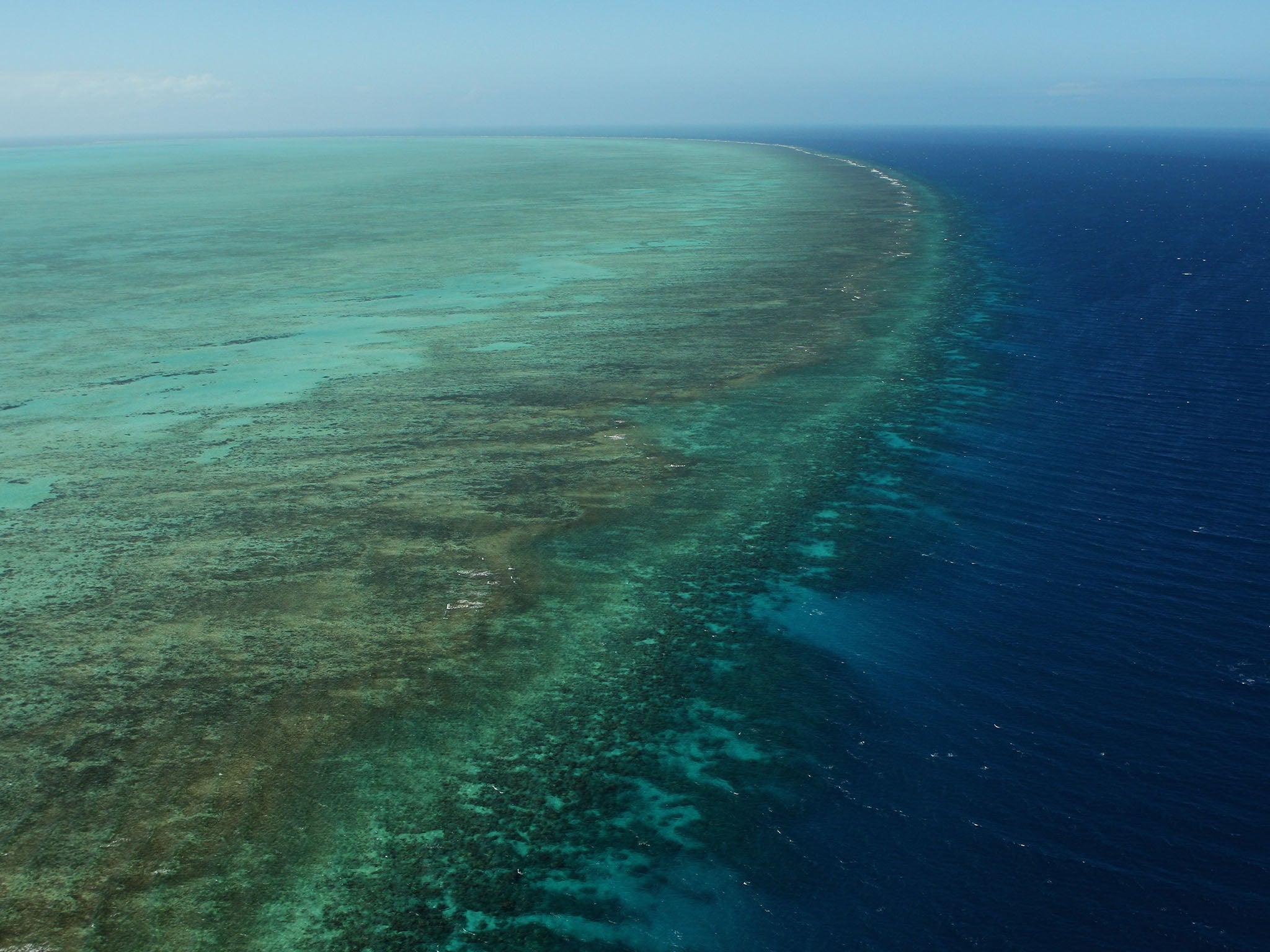 Marine scientist Charlie Veron has predicted that the Great Barrier Reef has been irreversibly degraded by warming, and that it will be gone within 20 years