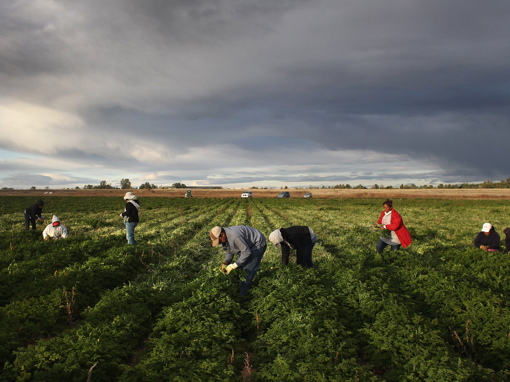 Proposals for 5,000 non-EU workers to come on six-month visas to work on British farms over the next two years could create a hotbed for modern slavery unless key safeguards are adopted