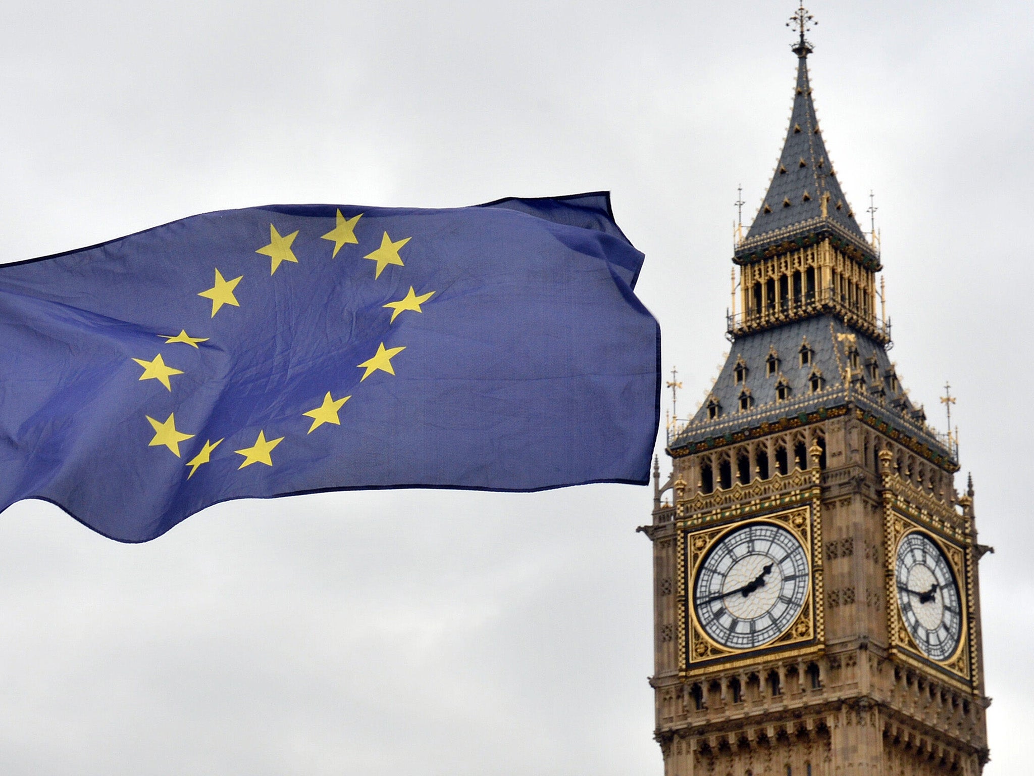 there is a fundamental difference between asking pro-EEA Conservative MPs to back an amendment tabled by our front bench and asking them to support an amendment tabled by our back benches