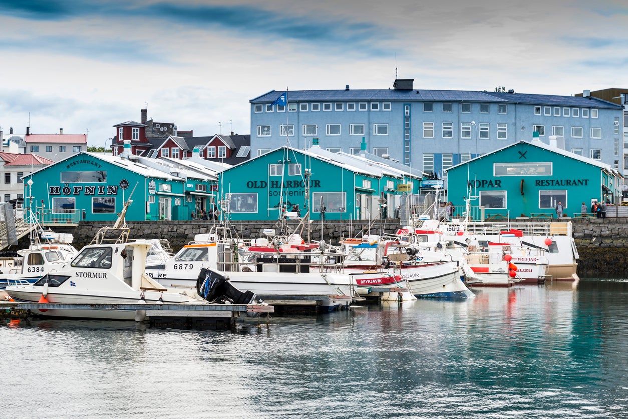 Stroll about the city’s marina (Getty)