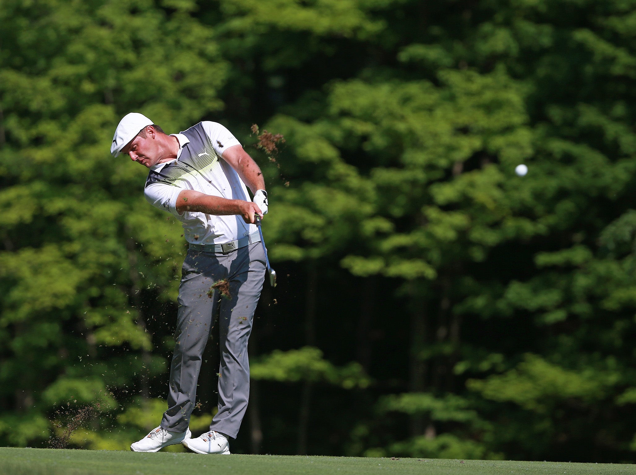 Bryson DeChambeau tops the leaderboard on 14 under par