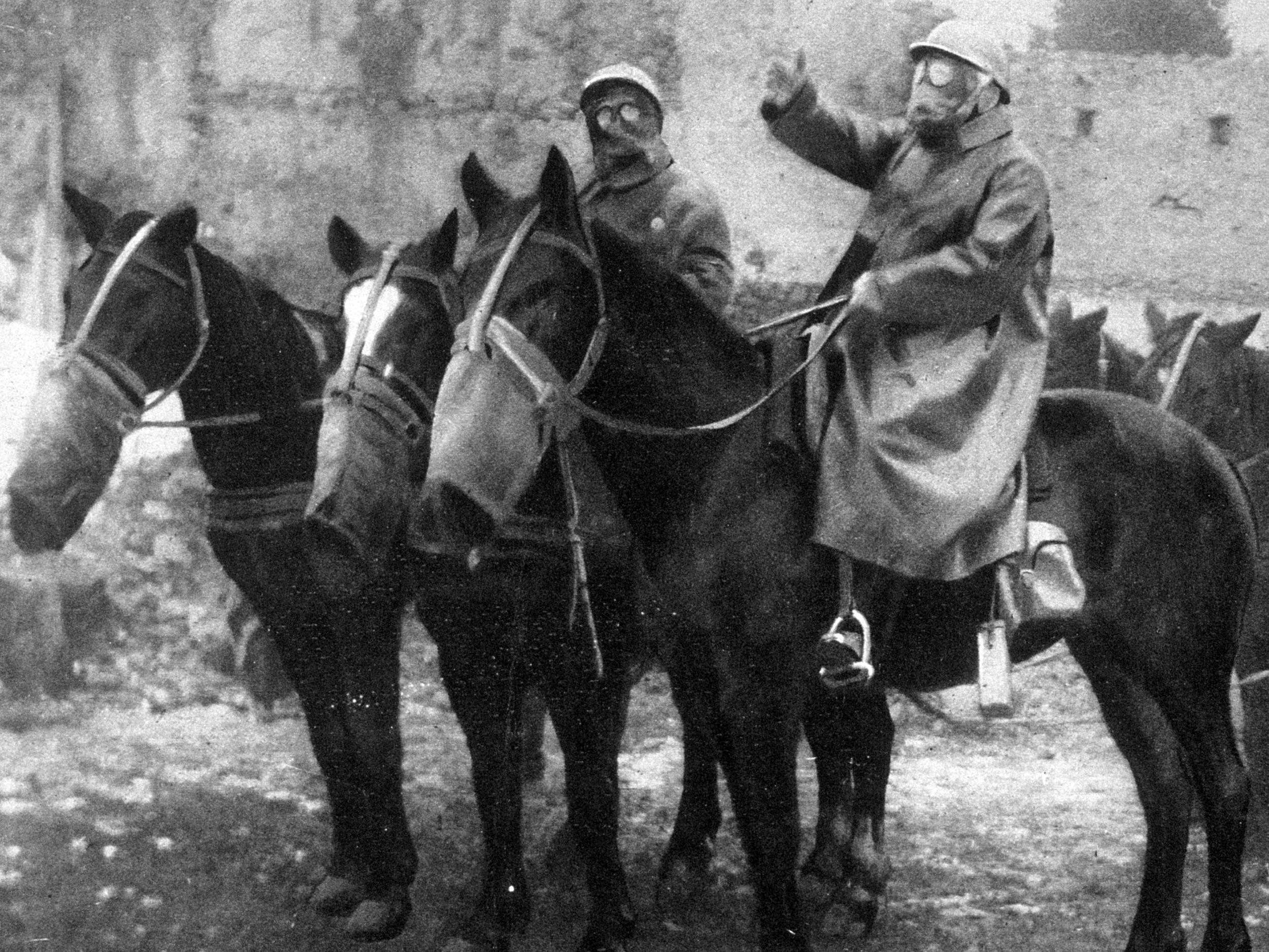 Soldiers and horses wearing gas masks during a German mustard gas attack in the First World War