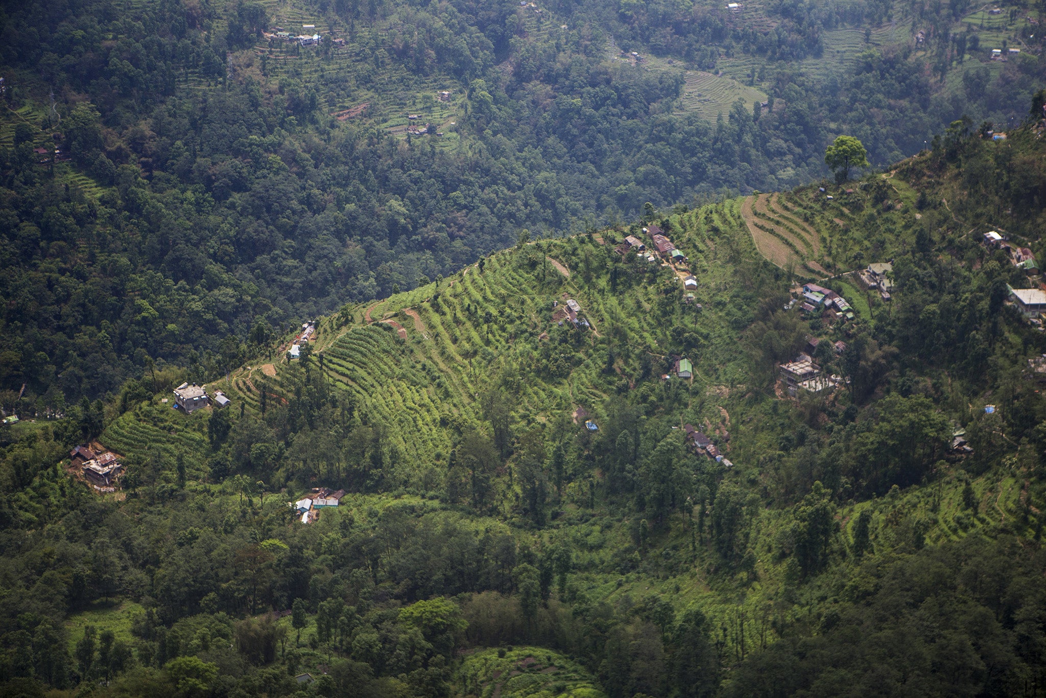 The organic revolution has also been a boon to tourism, with a growing market for farm and eco-tours