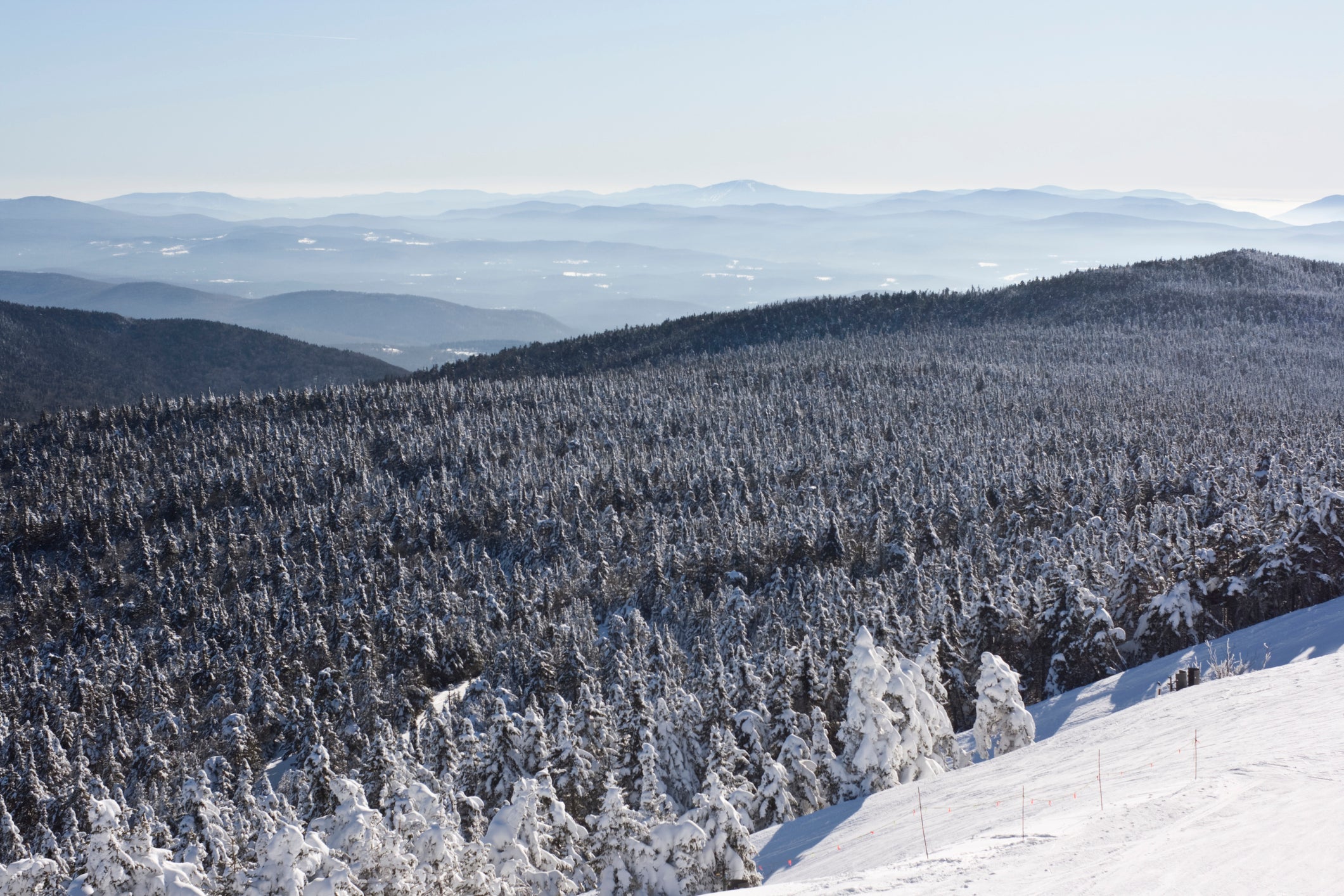 (Getty Images/iStockphoto