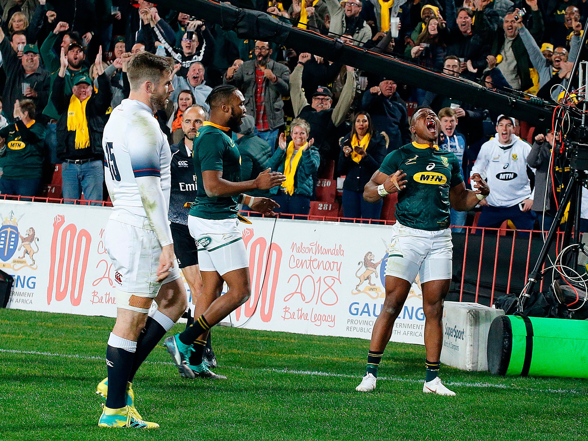 Aphiwe Dyantyi roars with delight after scoring South Africa's fifth try