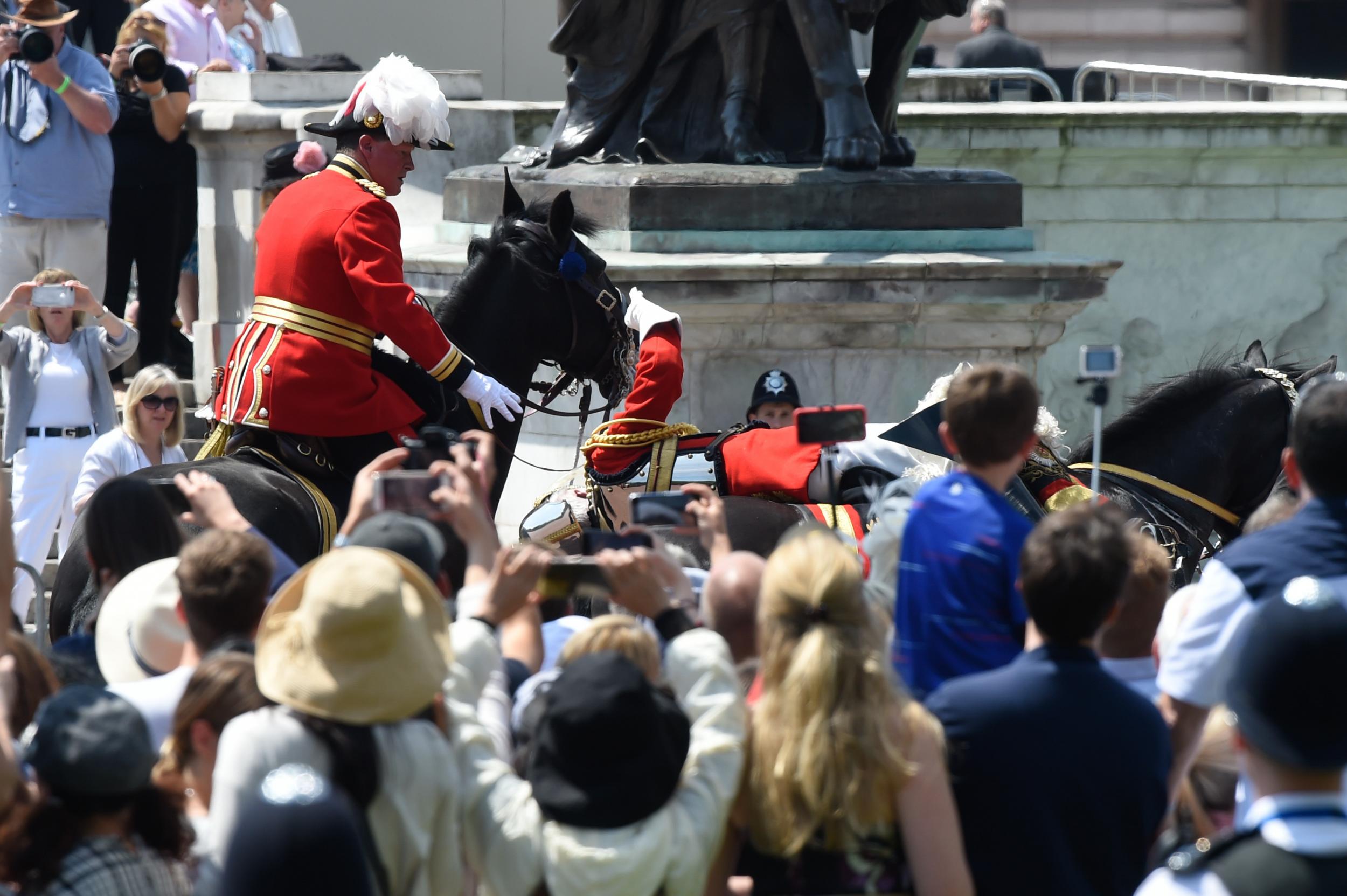 Field Marshal Lord Guthrie fell from his horse during the parade PA