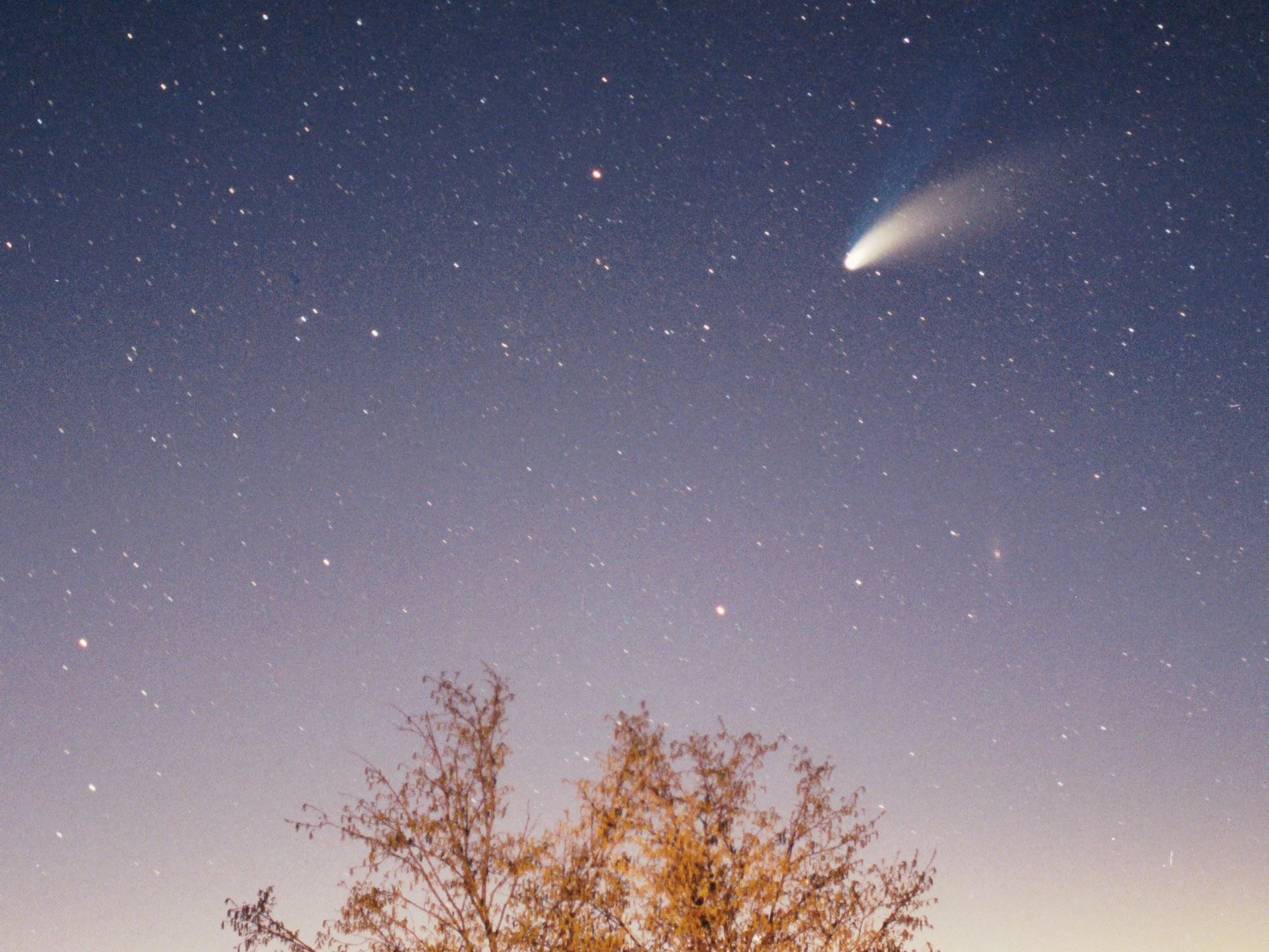 Comets such as Hale–Bopp have shed interplanetary dust particles that end up on Earth, and contain fragments from the beginning of the solar system