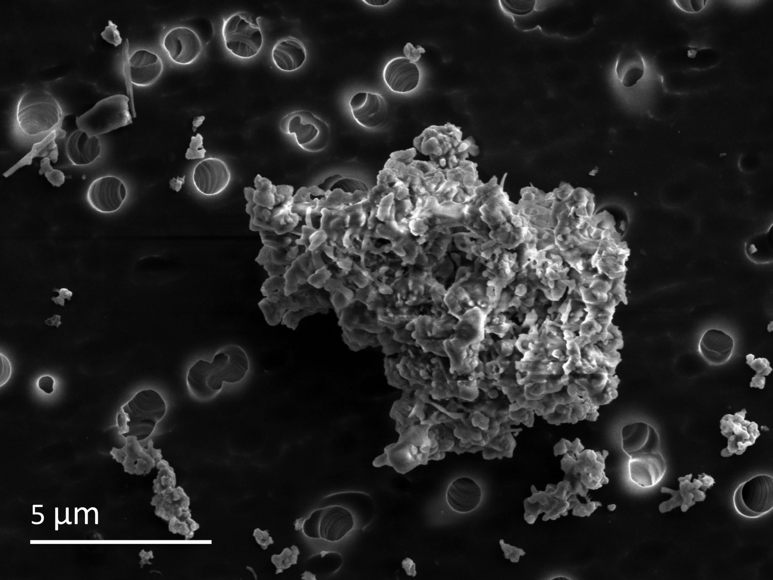 Electron micrograph of an interplanetary dust particle of likely cometary origin.