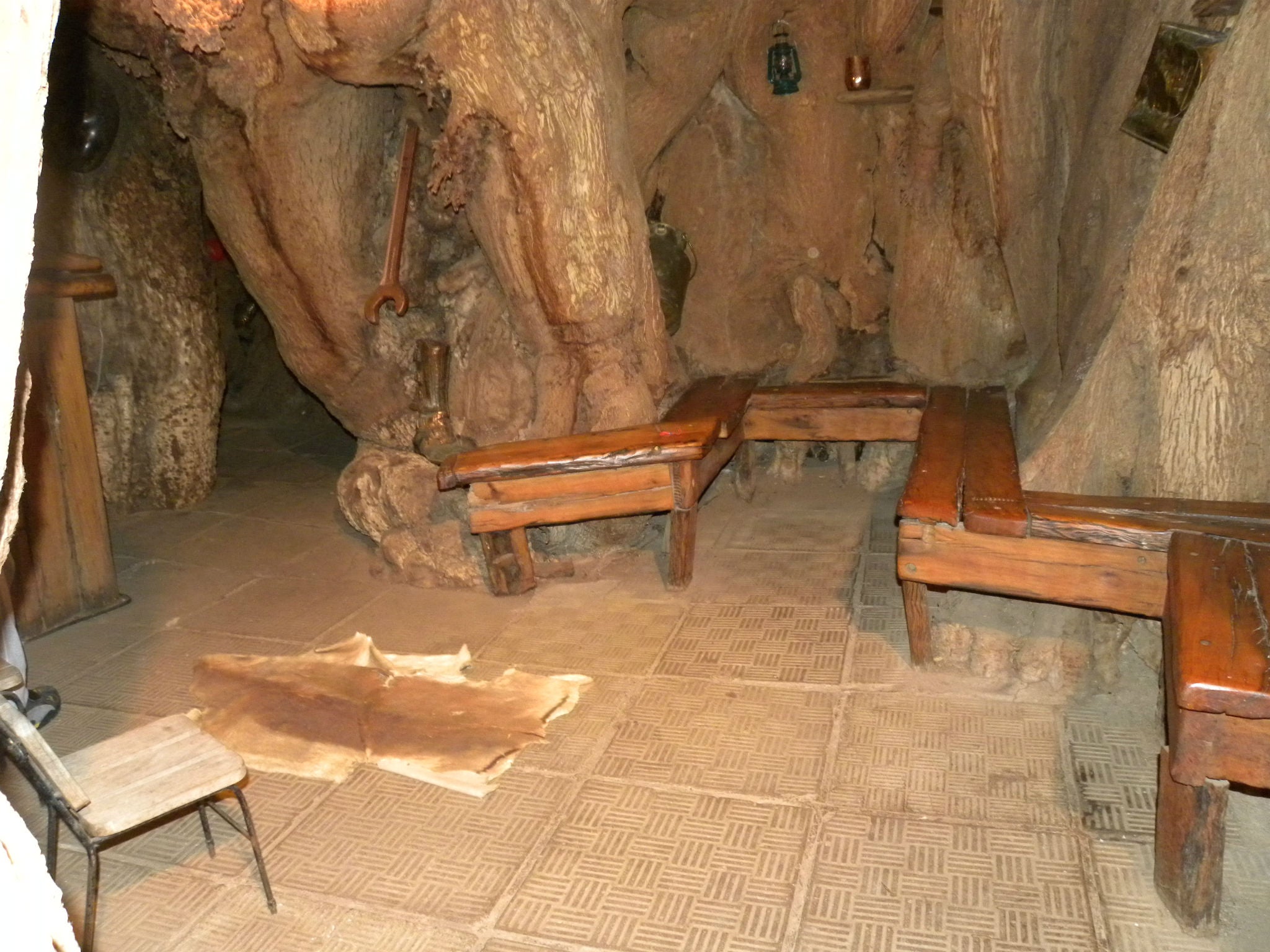 A cavity in the Platland tree in South Africa housed a bar for more than a decade