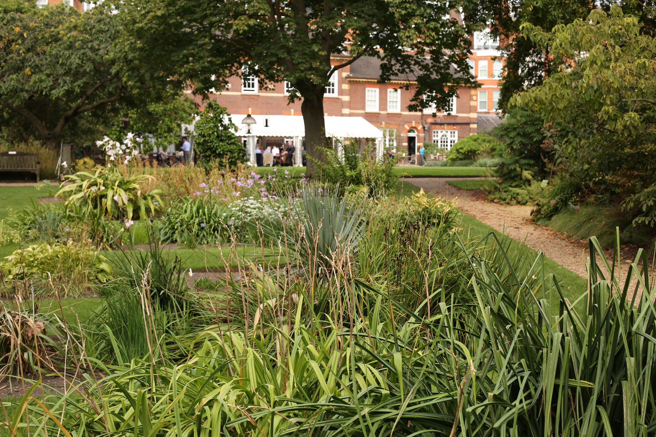 Find some floral inspiration at Chelsea Physic Garden