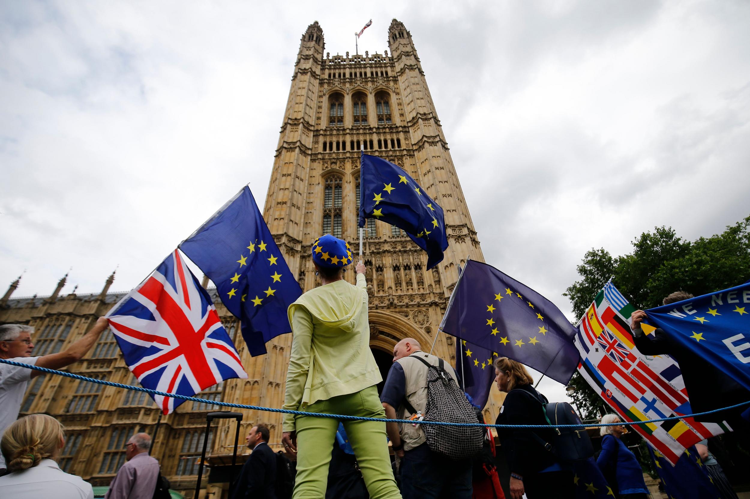 Protestors hold flags during a pro-European Union demonstration.