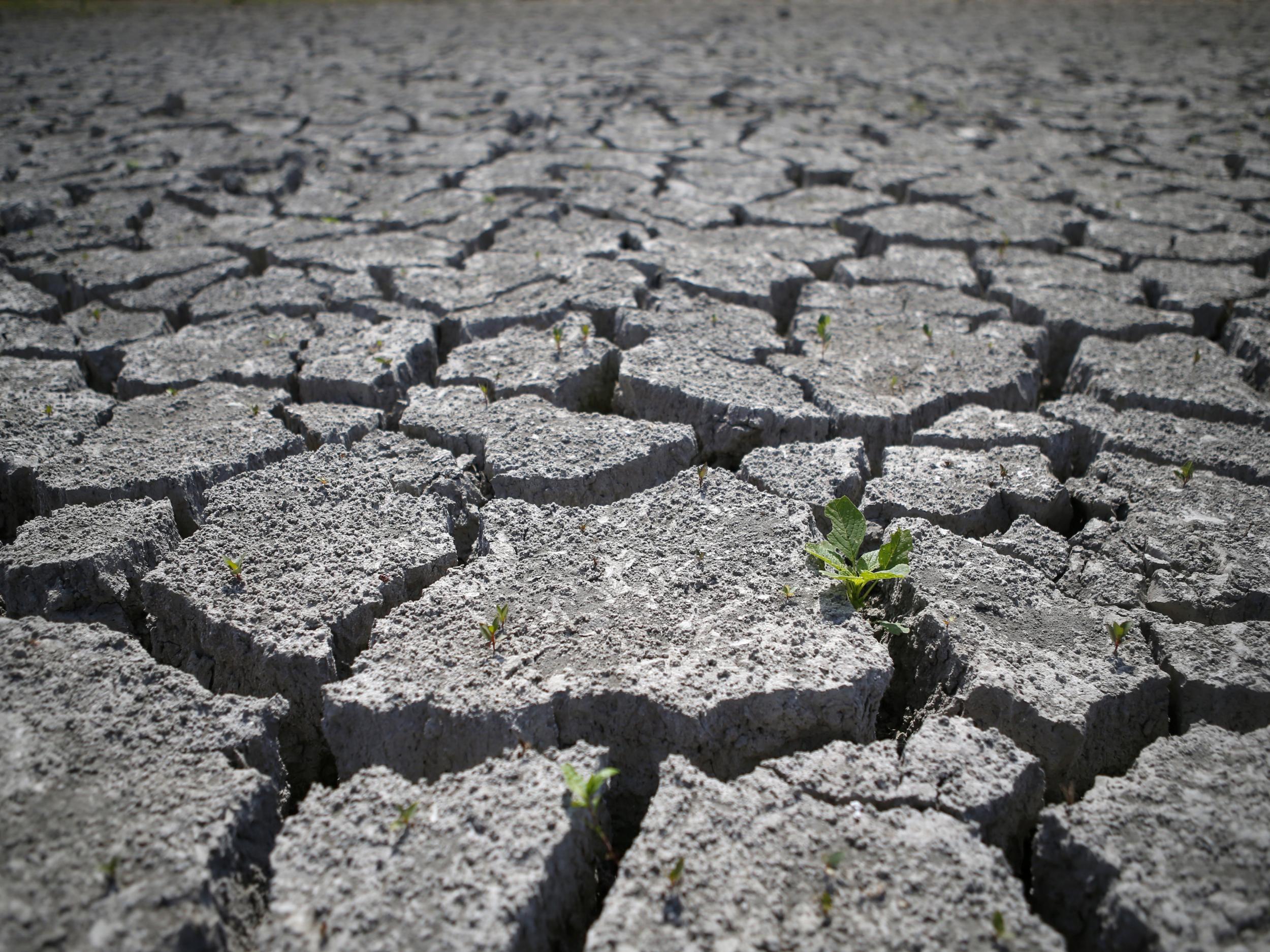 Agriculture will suffer if land degradation continue at current rates, particularly in India, China and sub-Saharan Africa