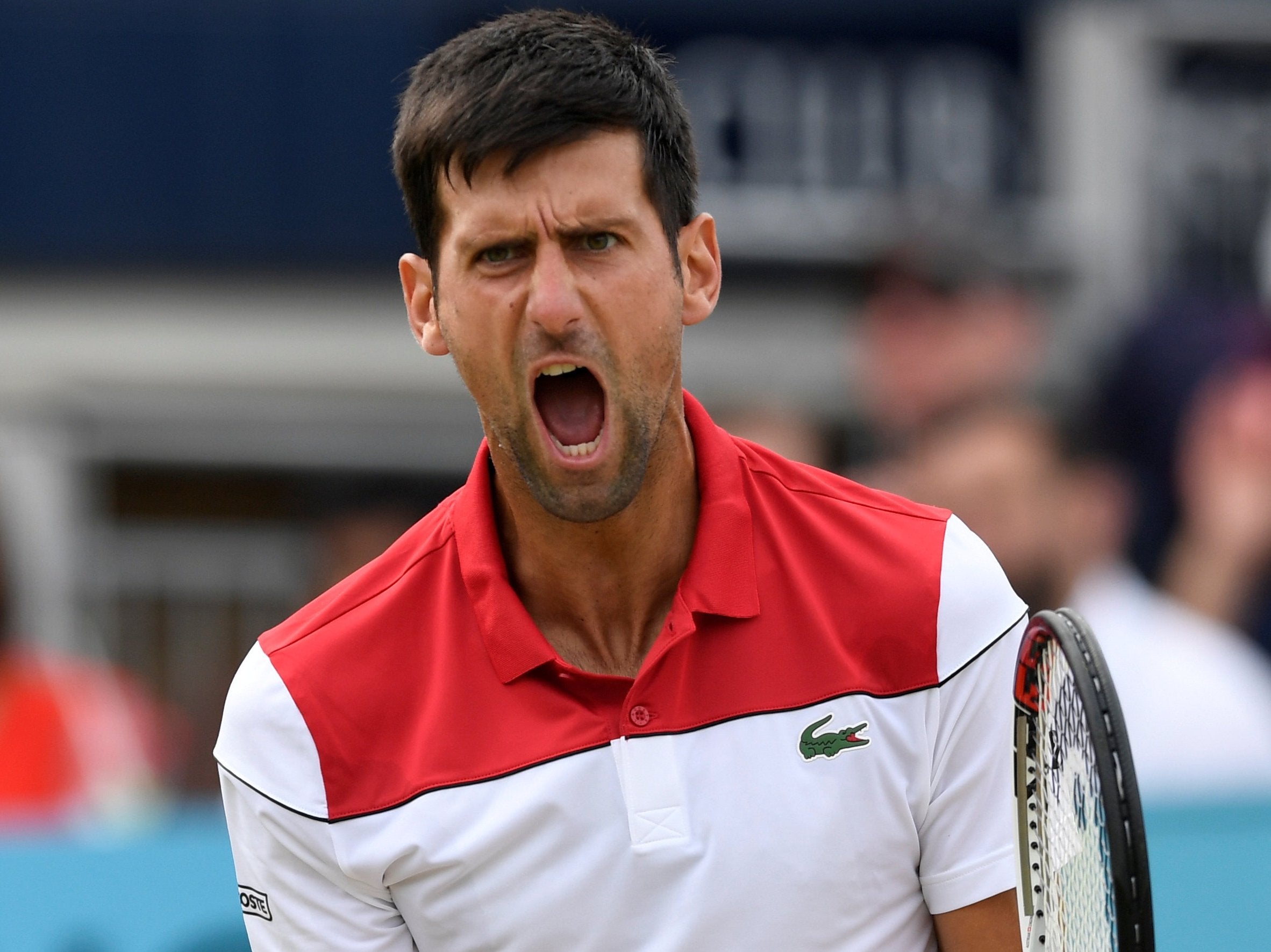 Not much has gone right for Novak Djokovic in the last two years