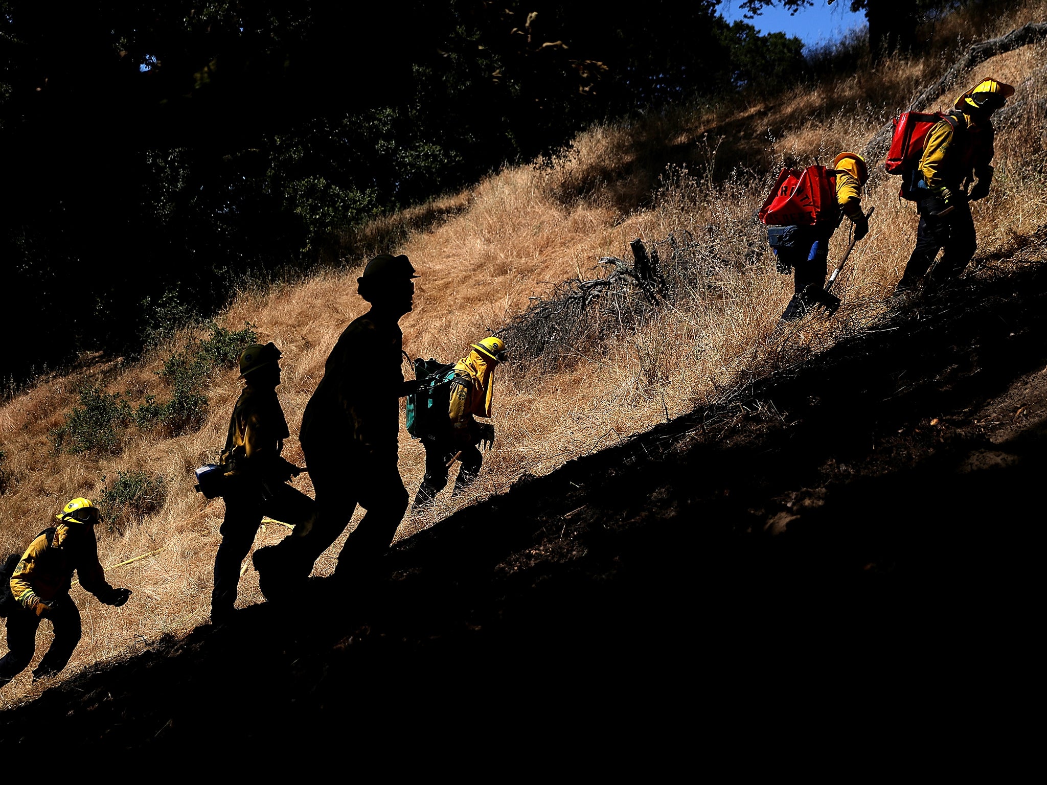 Members of the emergency services ascend the city’s woodland hills, looking for fuel that could power catastrophic wildfires