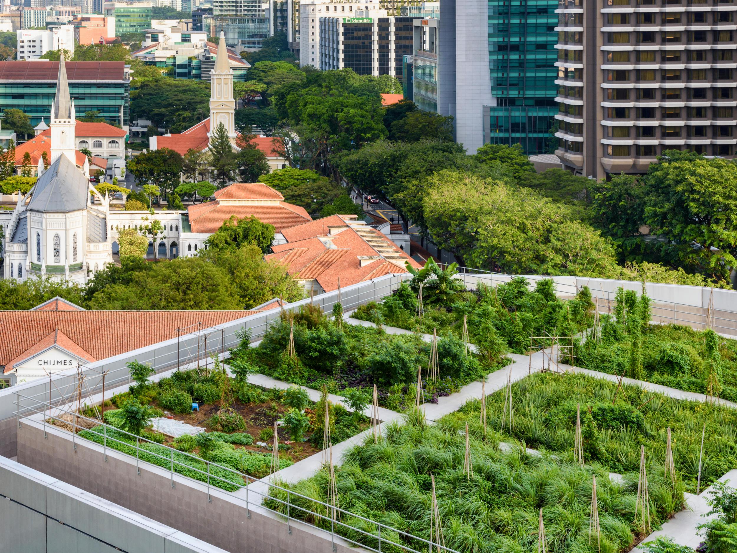 Singapore increased its number of green roofs and spaces ninefold between 2006 and 2016 and markets itself as a 'garden city'