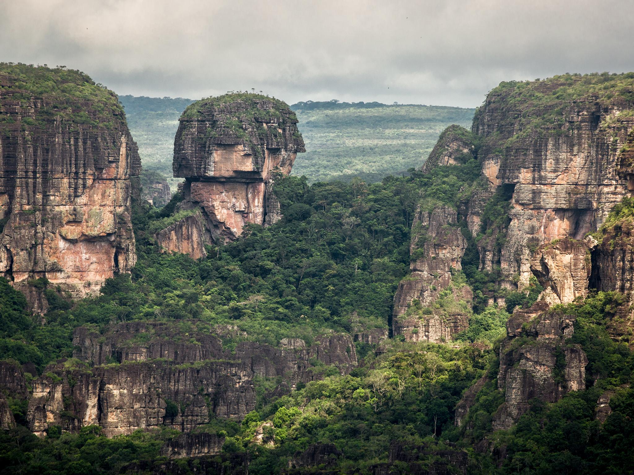 The national park covers a variety of different geographic zones and is home to thousands of animal and plant species