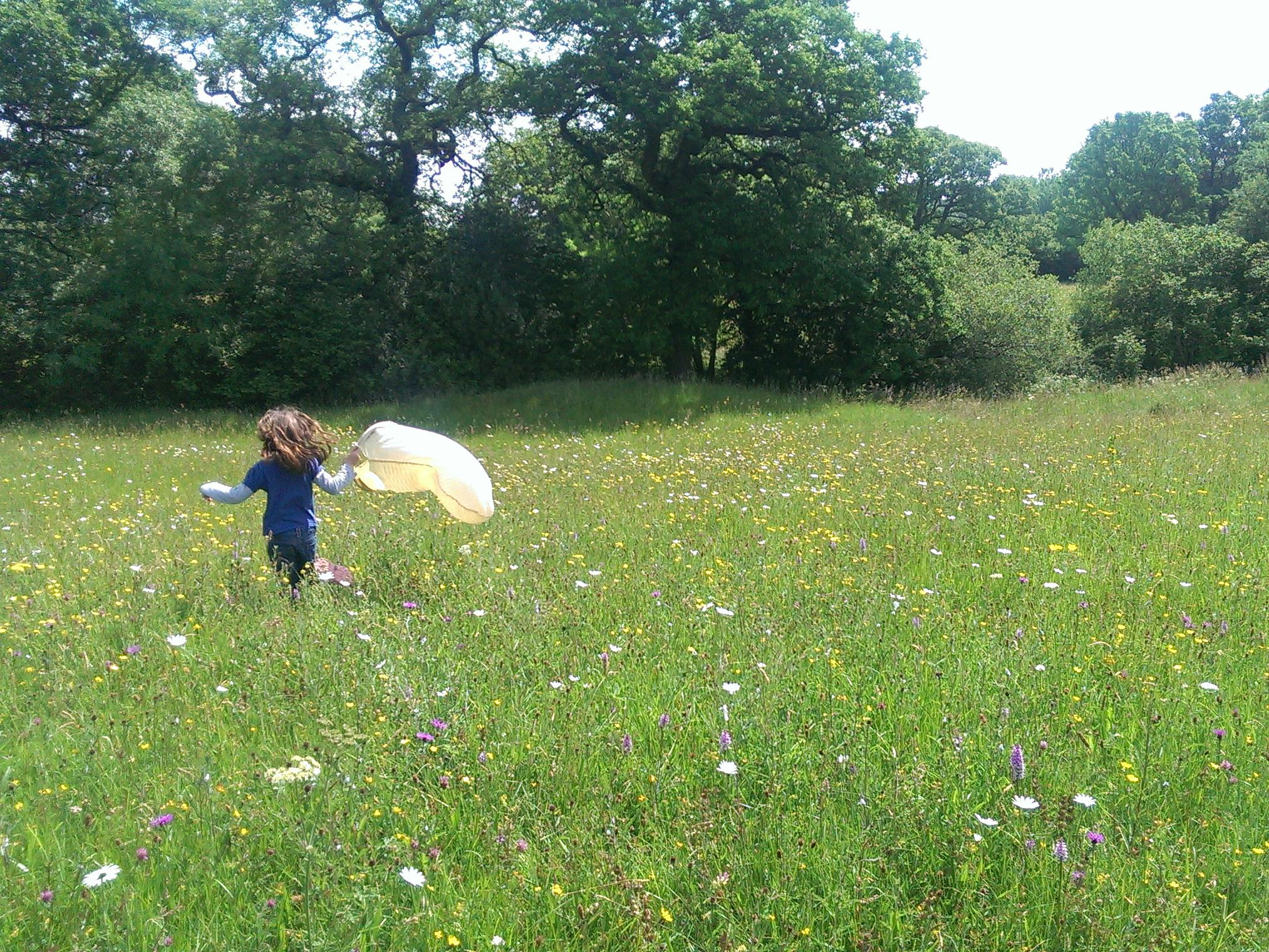 Only 3% of Britain's ancient meadows remain, and environmental group Plantlife is calling on the government to take action to restore these rich habitats