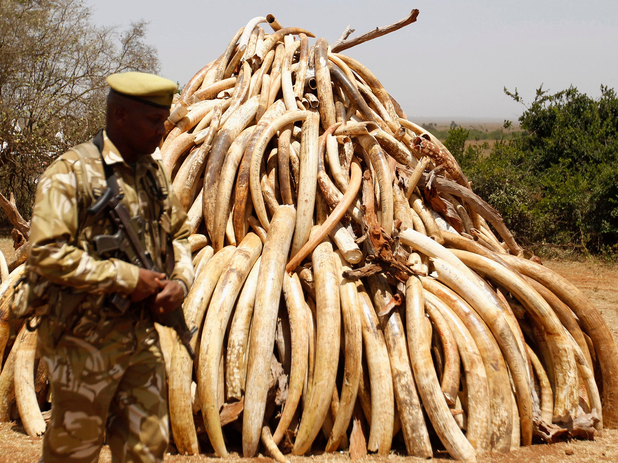 Ivory confiscated from smugglers and poachers has been burnt in the past but some countries wanted to sell it instead