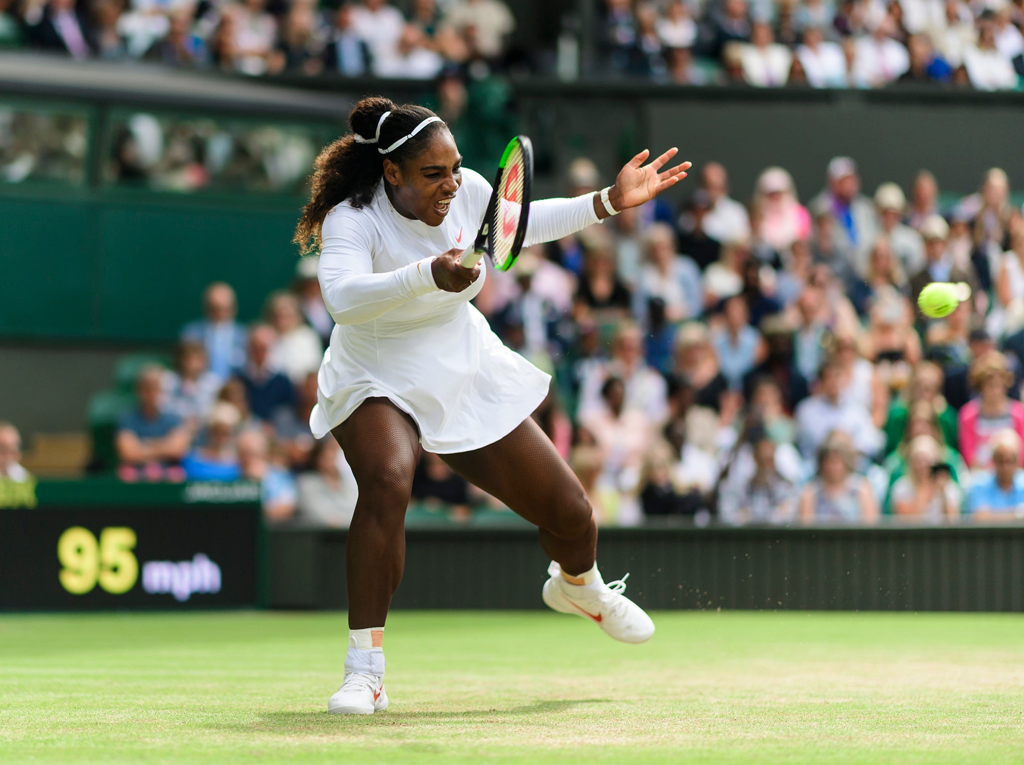 Williams is in the final four (Getty )