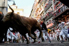 Man gored to death by bull at festival in Spain